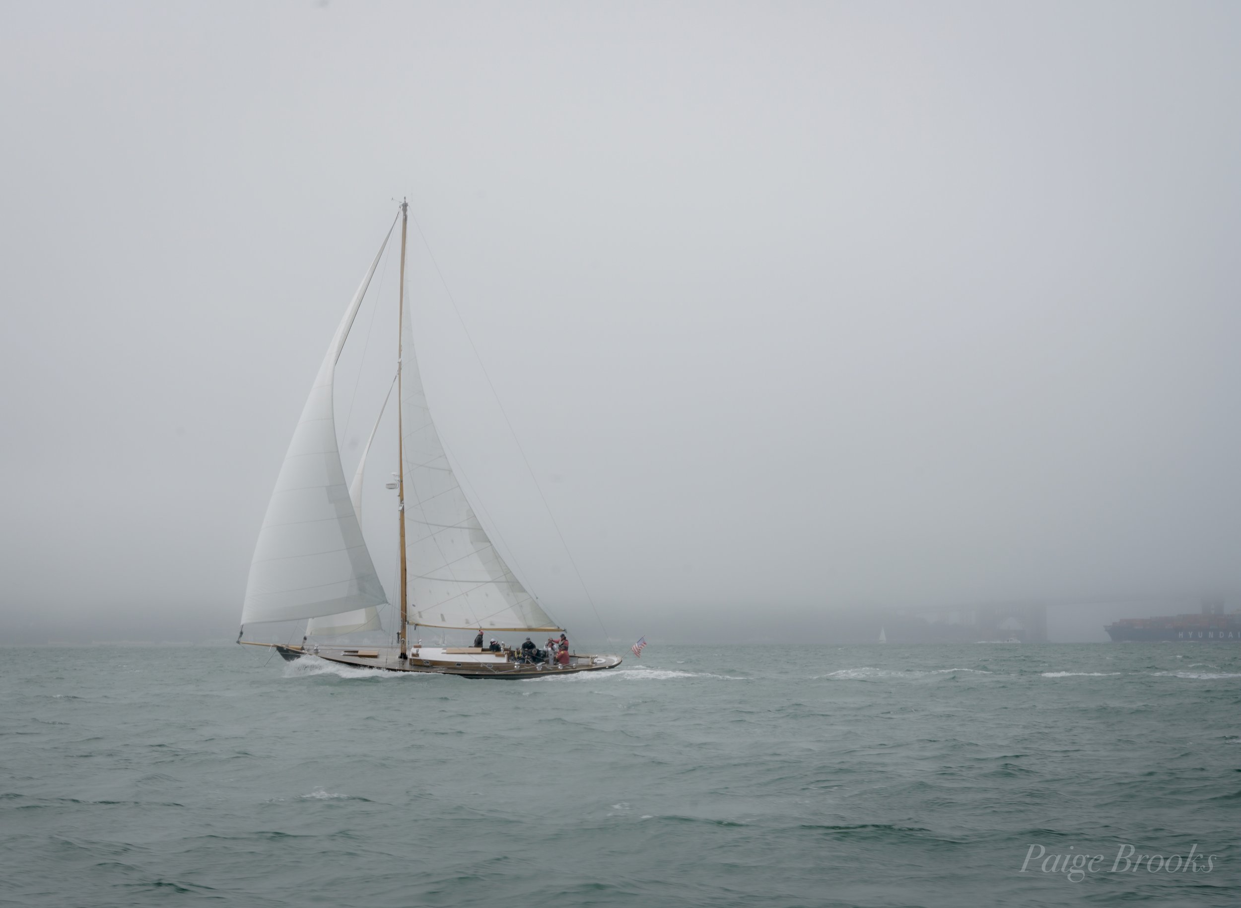 ORG_DSC00774.jpg