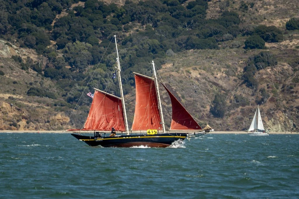 Roxy, Photo By FairCape Photonautics