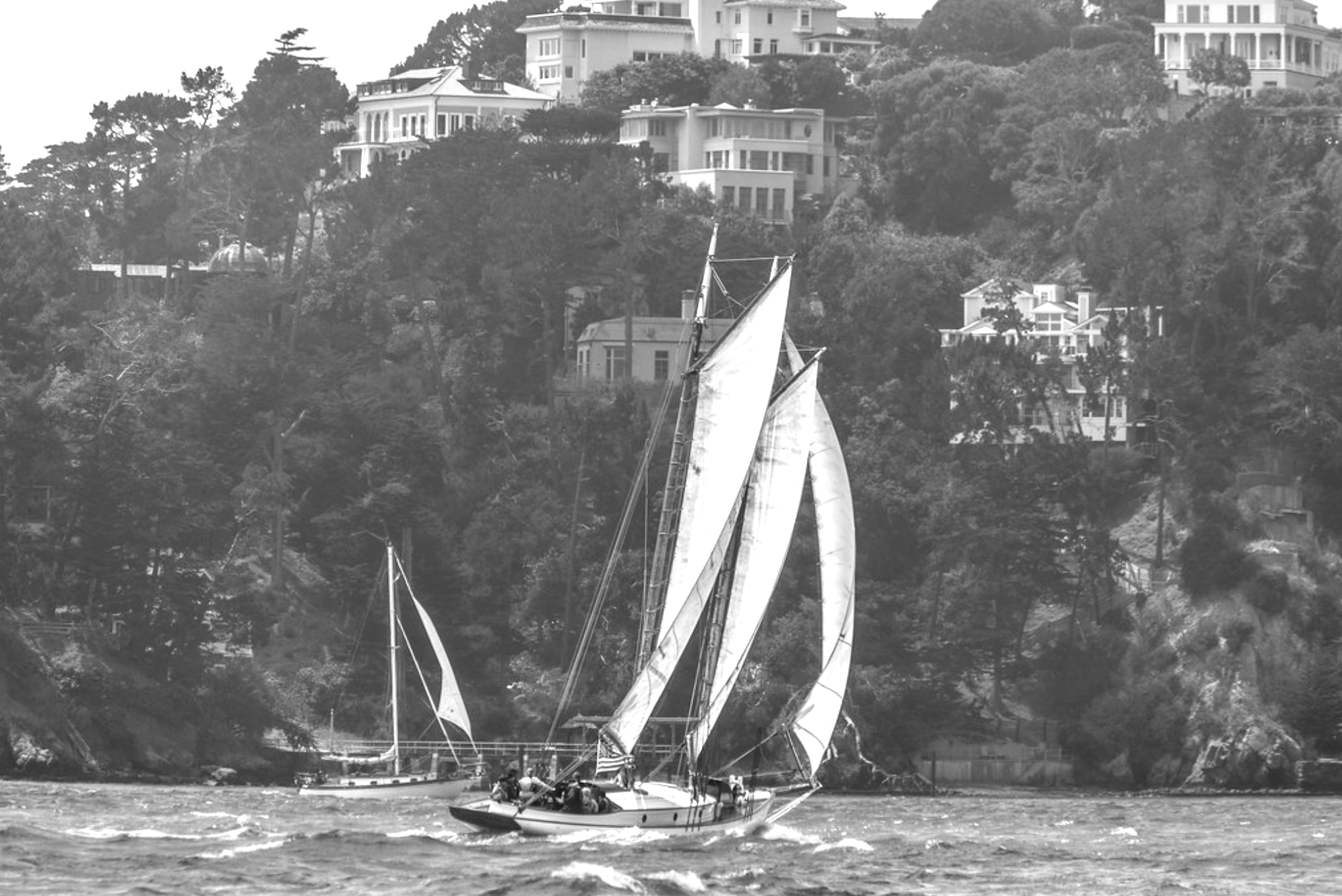 Yankee off Belvedere