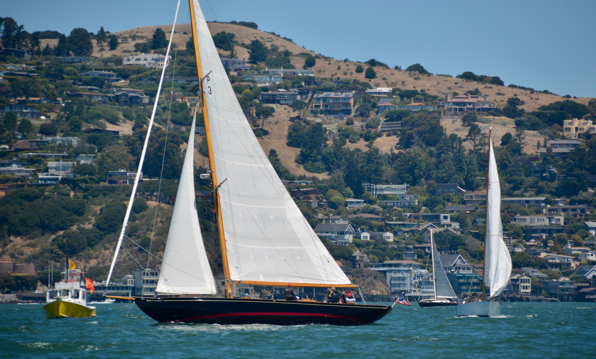 fullsizeoutput_8603-X4.jpg