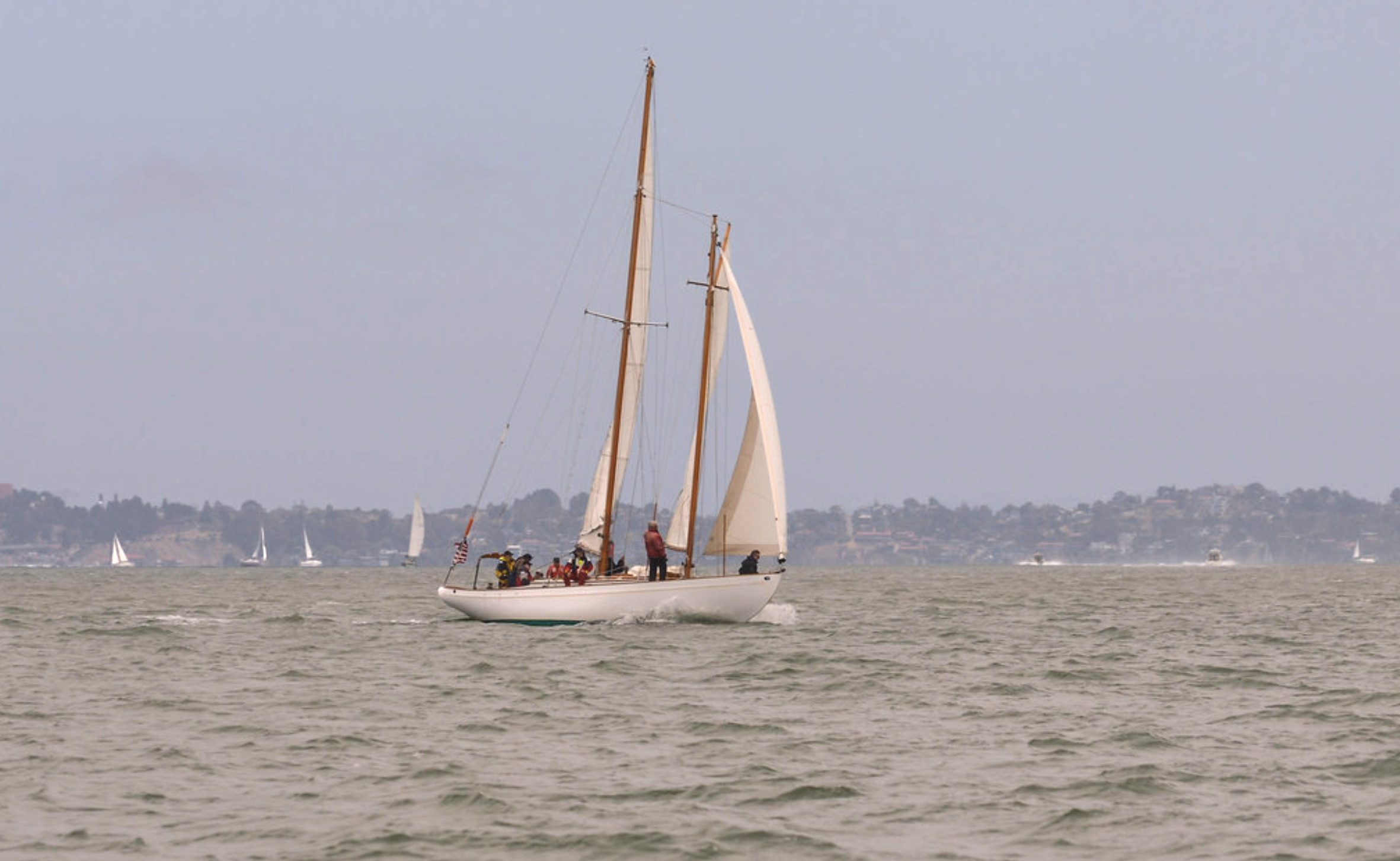 Elizabeth Muir