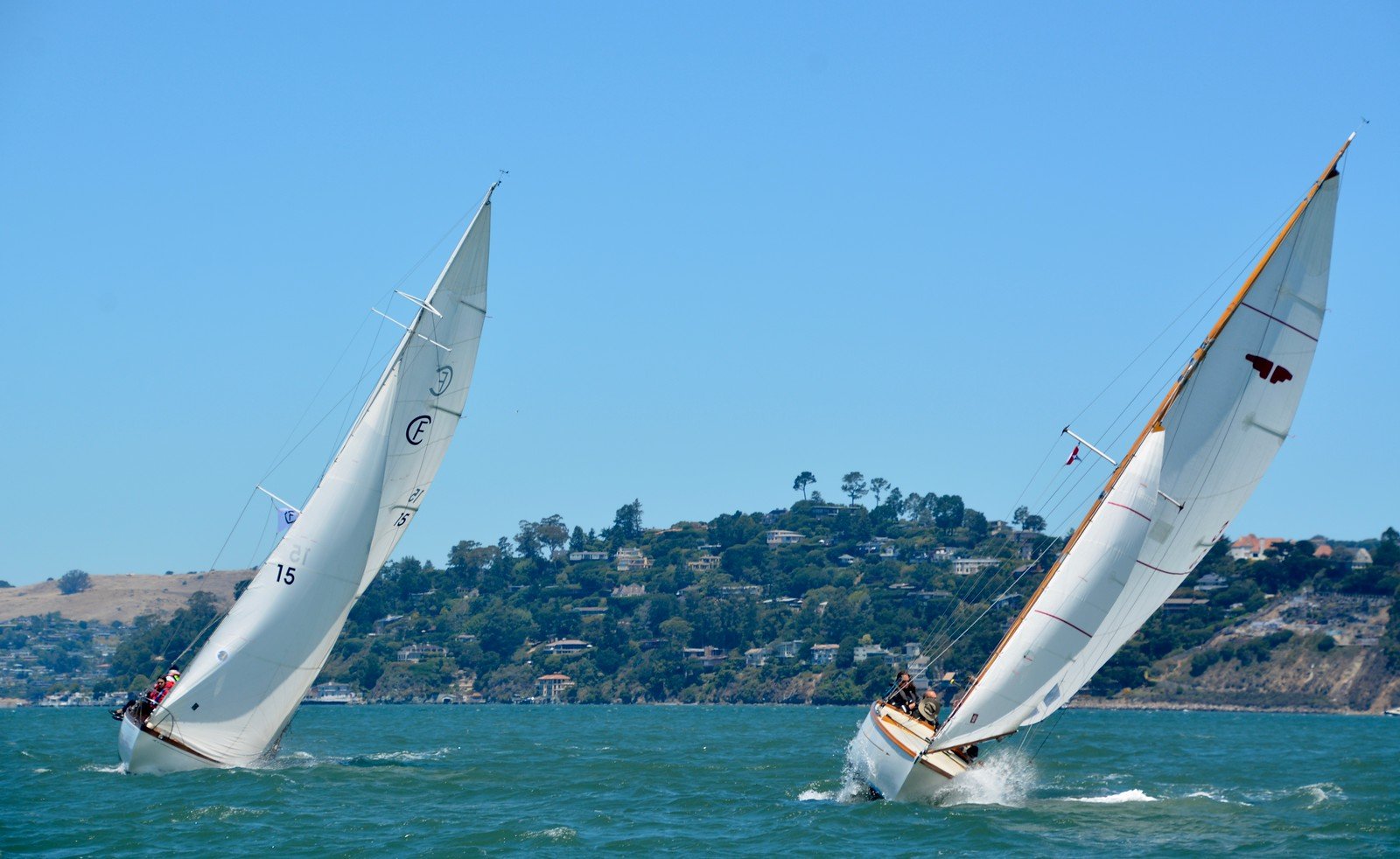 fullsizeoutput_8622-X3.jpg