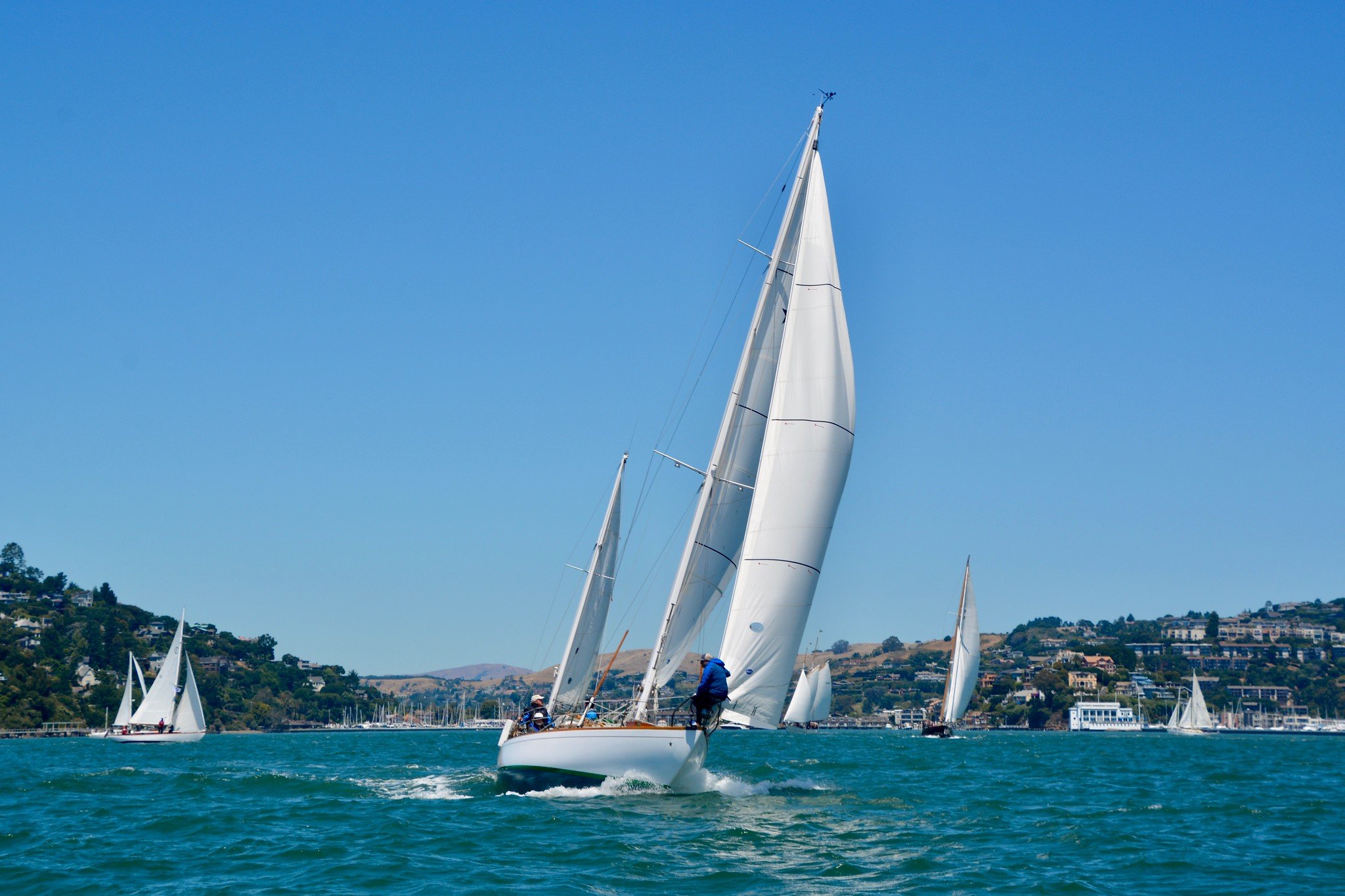 fullsizeoutput_85ed-X4.jpg