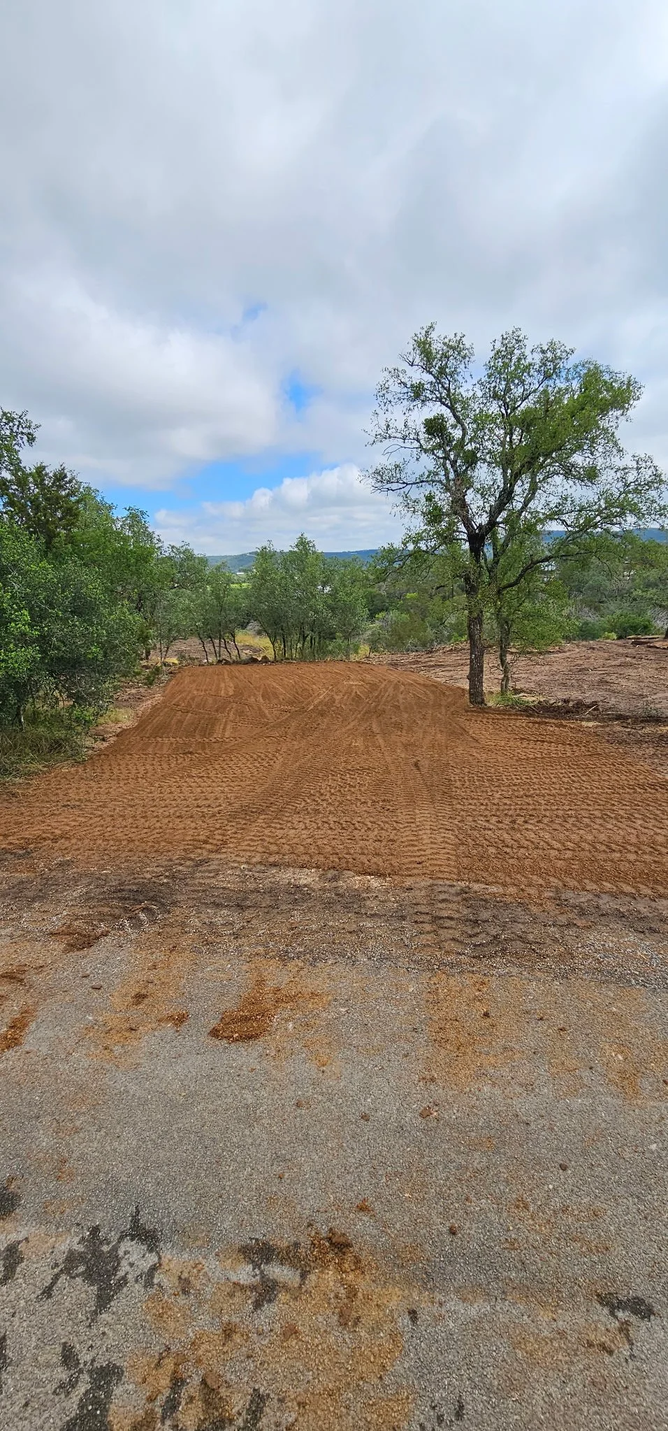 Photo Apr 02 2026, 12 15 19 PM (30).jpg