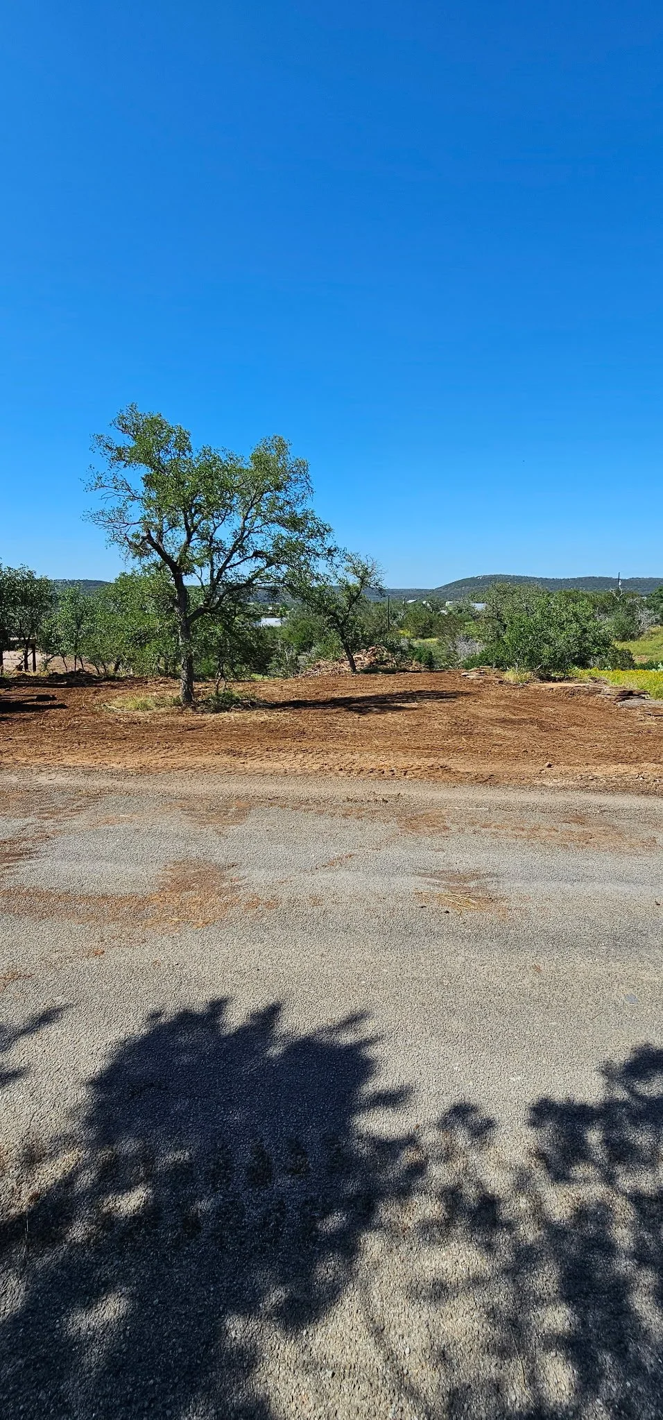 Photo Apr 02 2026, 12 15 19 PM (31).jpg