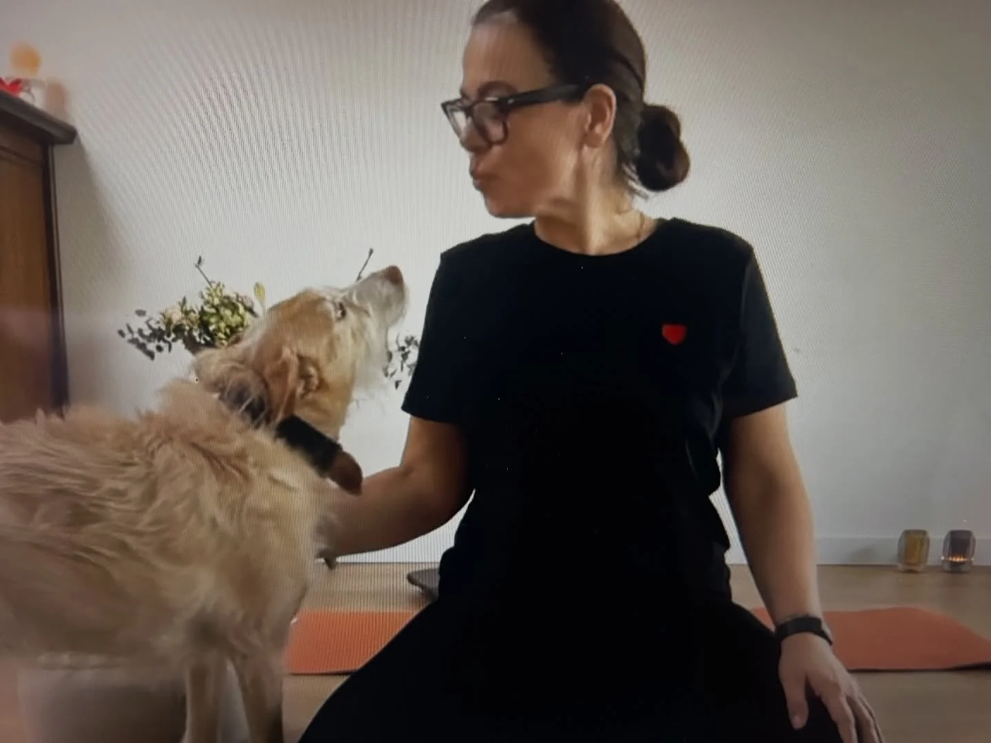 Want to know one of the best ways to feel alive&hellip; keep pushing yourself out of the comfort zone! This weekend marked the mid way point in my 200 hour Yoga teacher training course with @yogalife.studio.belgium and the focus was anatomy taught by