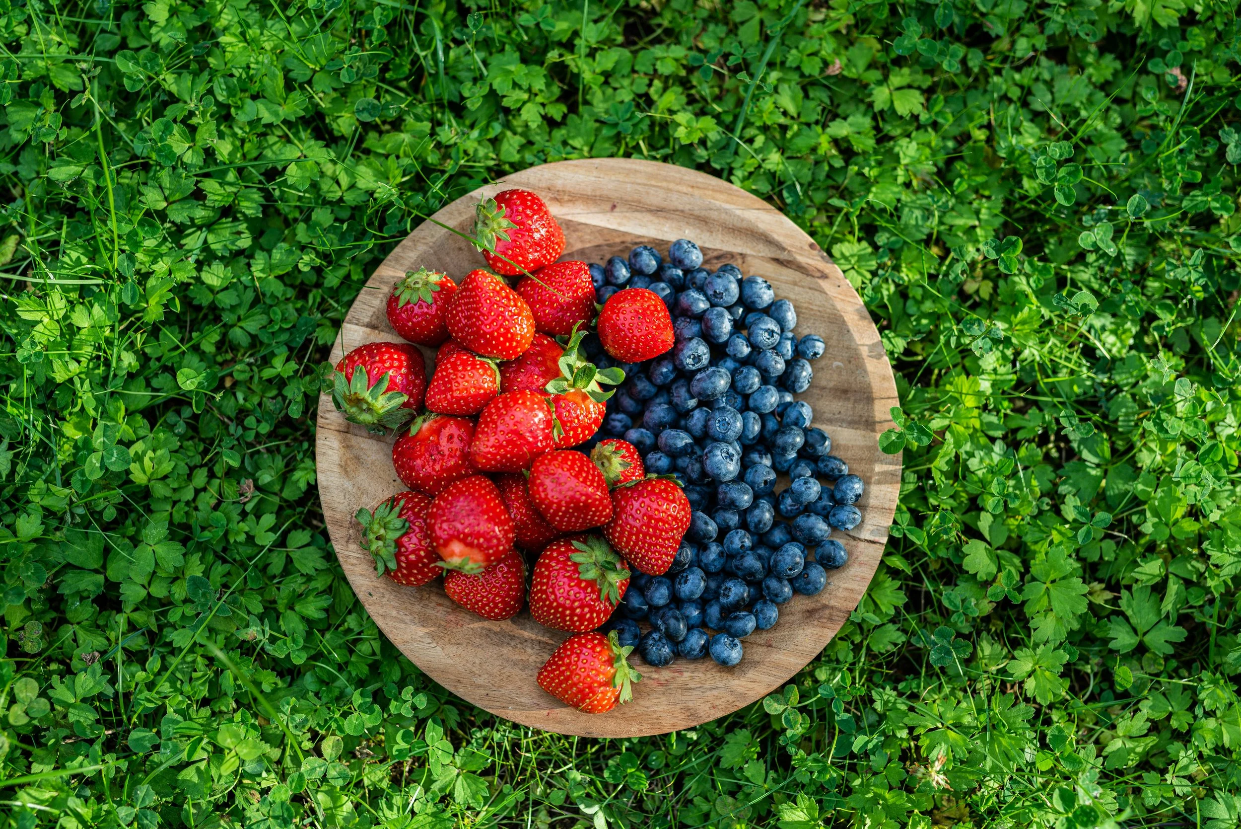 Red, White & Blue(berries): Your CNY U-Pick Guide