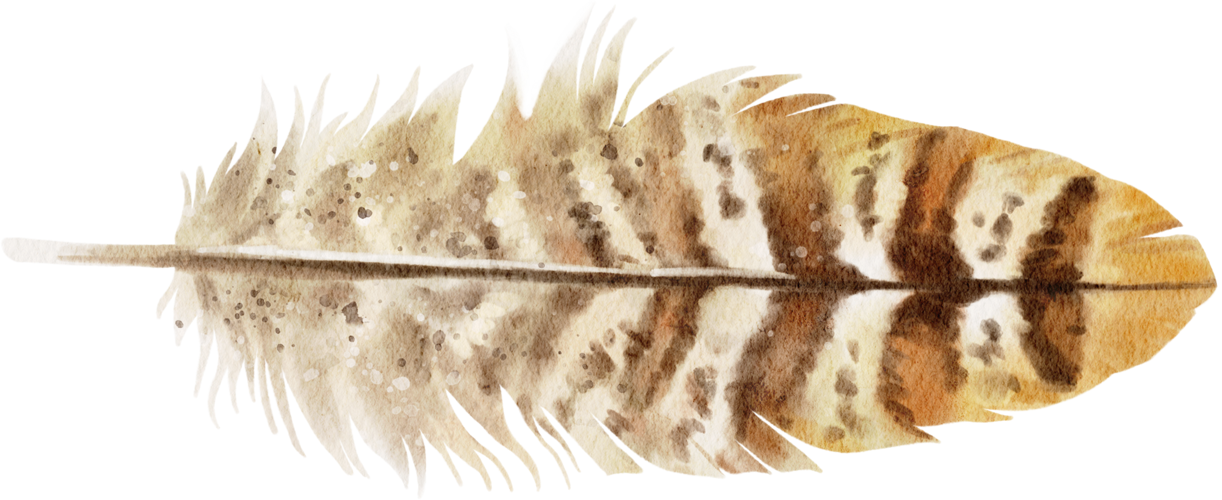 Gold, brown, and cream feather