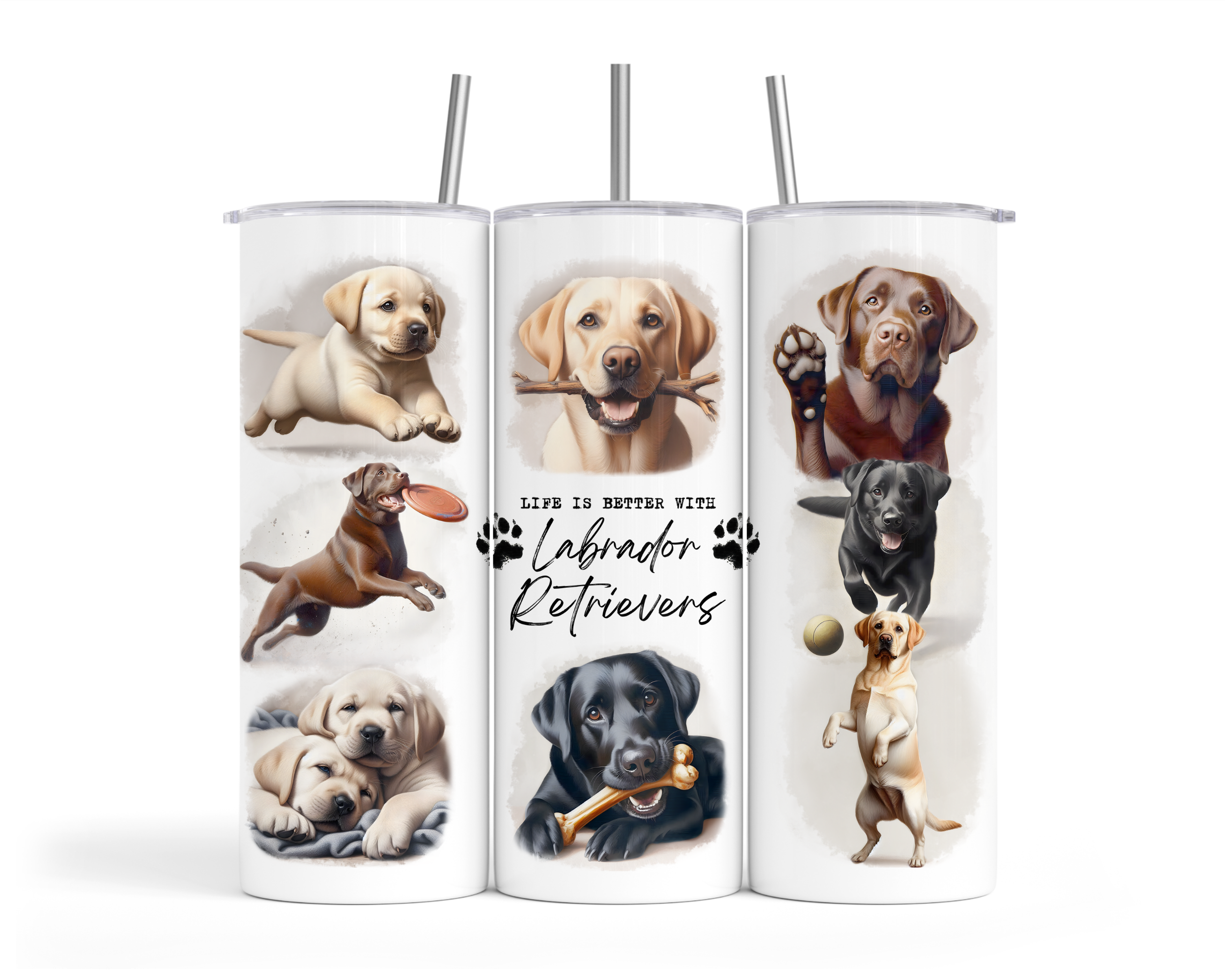 TVWraps_Pets10_LifeIsBetterWithLabradorRetrievers mockup.png