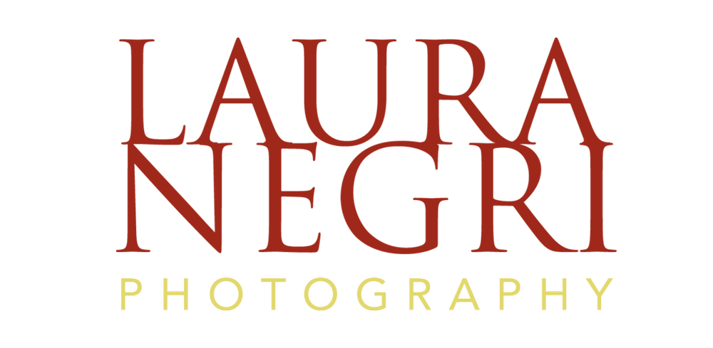 Logo for Laura Negr Photography with the company name in large red and yellow text.
