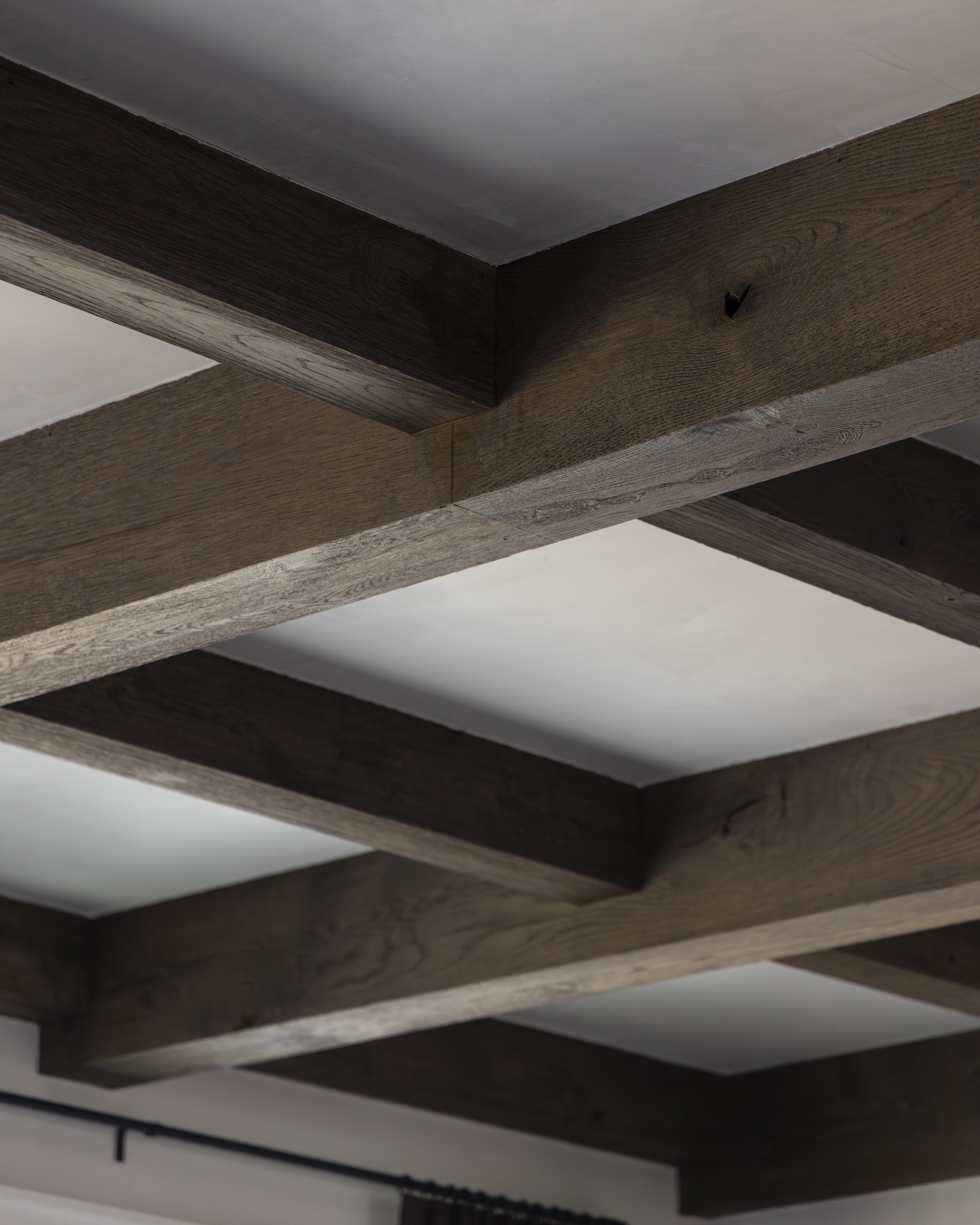 TSAdams_Lewis_Details_LivingRoomCeiling2-0004.jpeg