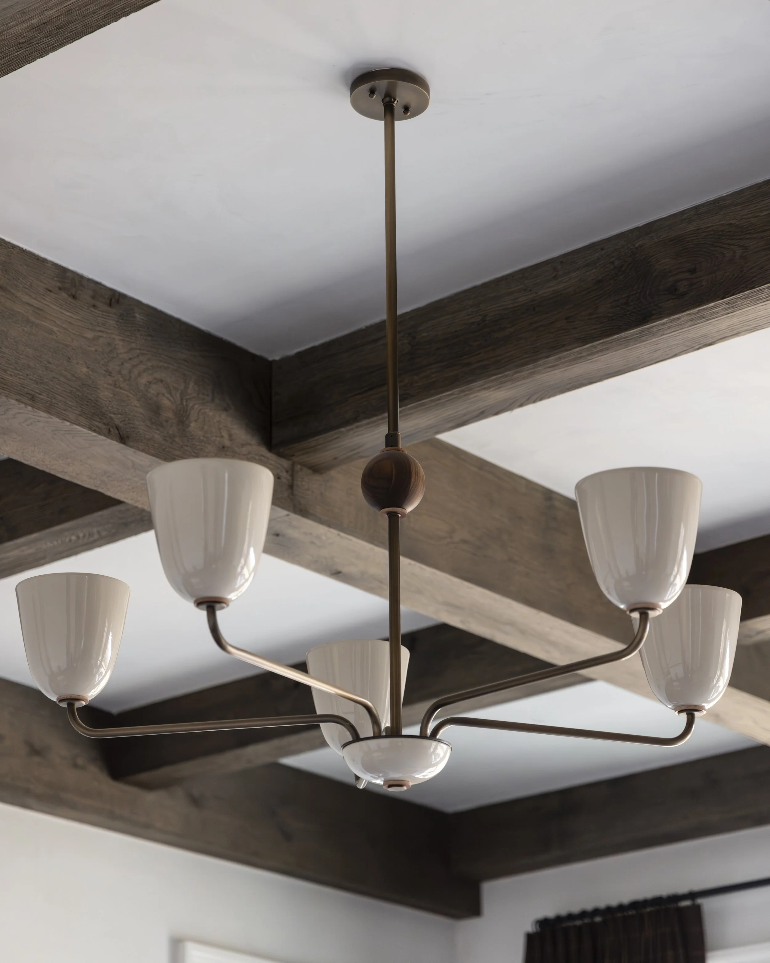 TSAdams_Lewis_Details_LivingRoomChandelier-0004.jpeg