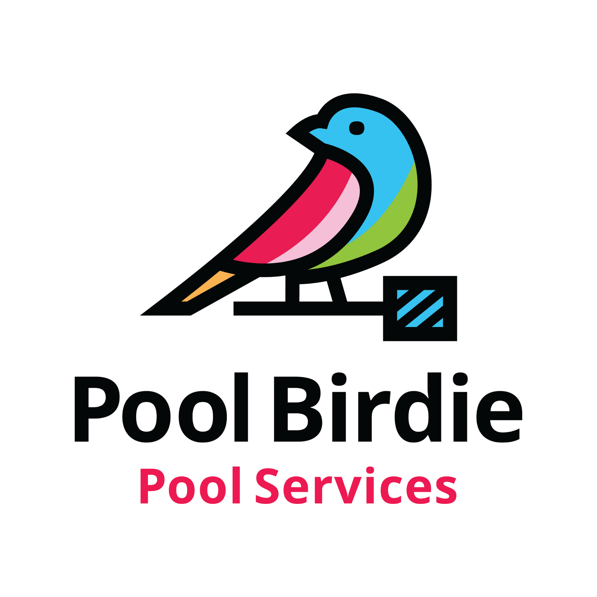 Pool Birdie