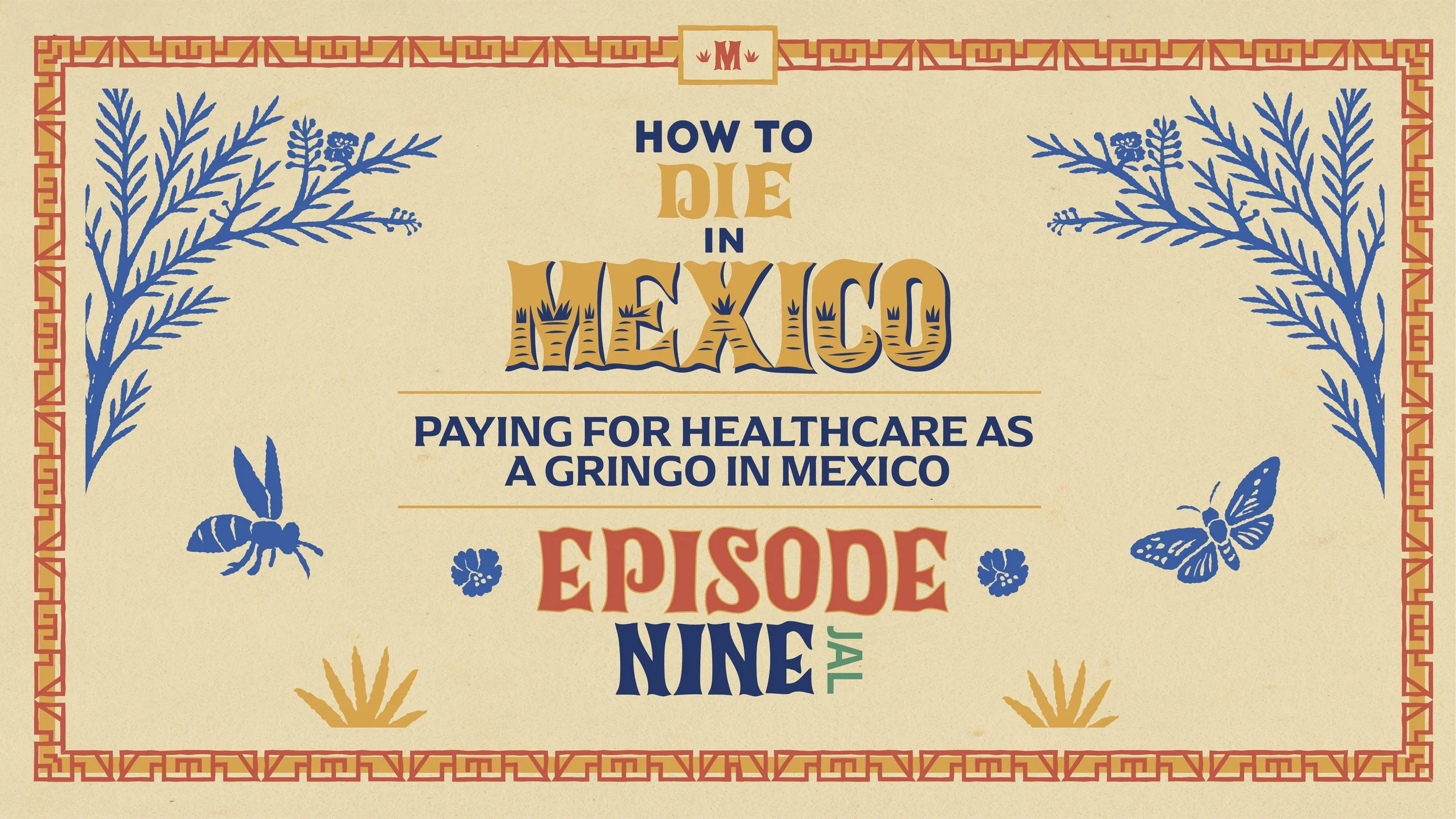 Episode 9 of the How to Die in Mexico Podcast, Paying for Healthcare as a Gringo in Mexico, is colorfully illustrated.