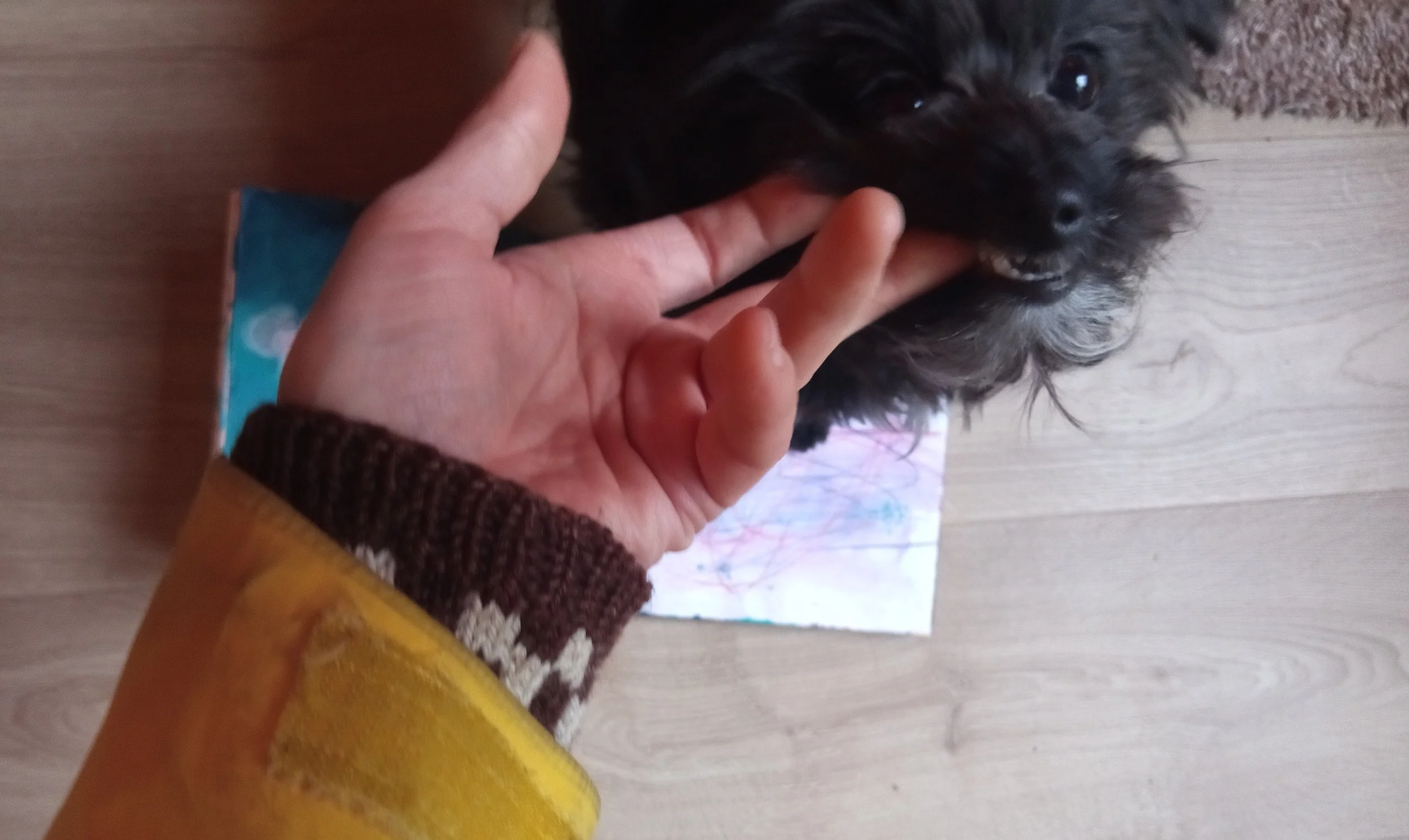 Norma requires constant attention