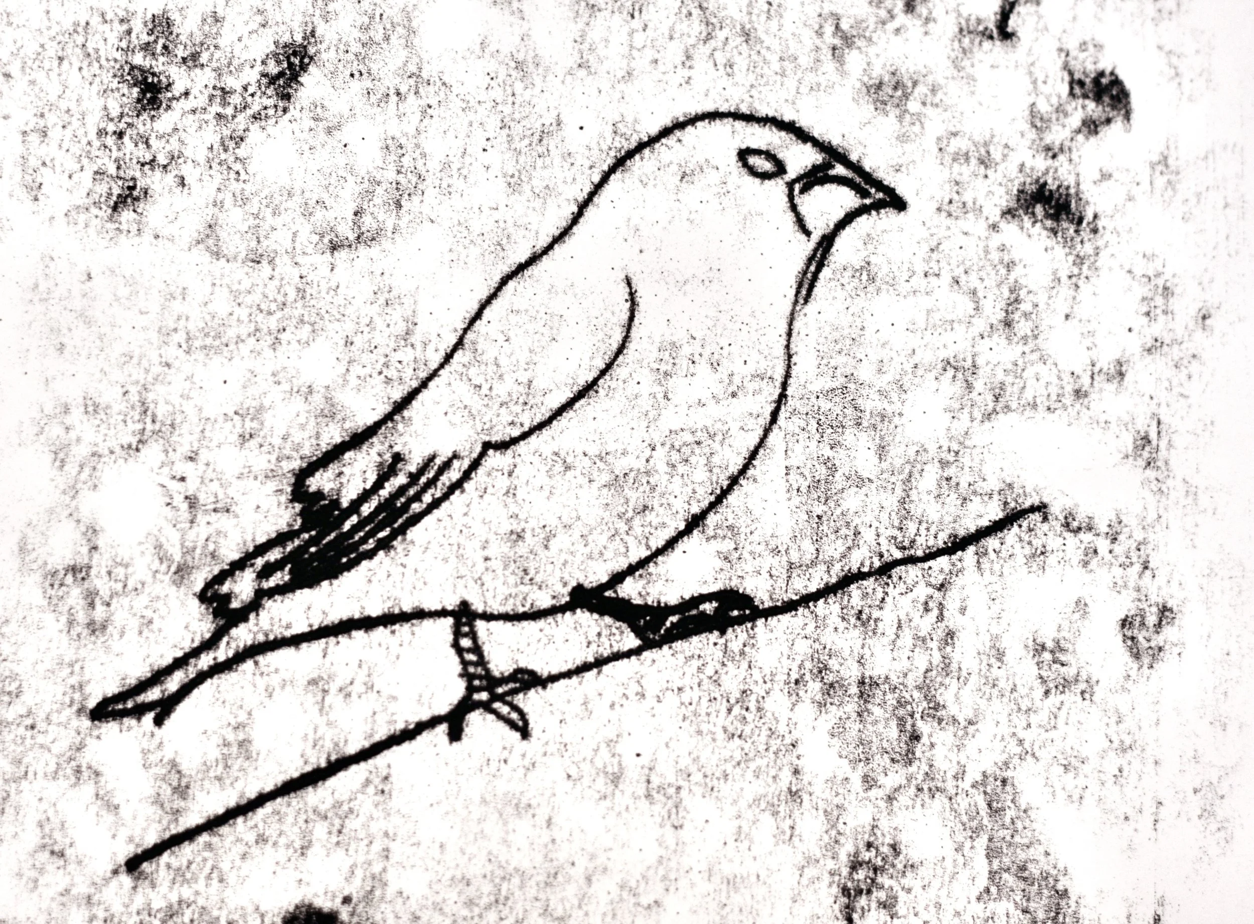 IMG_5506.jpeg