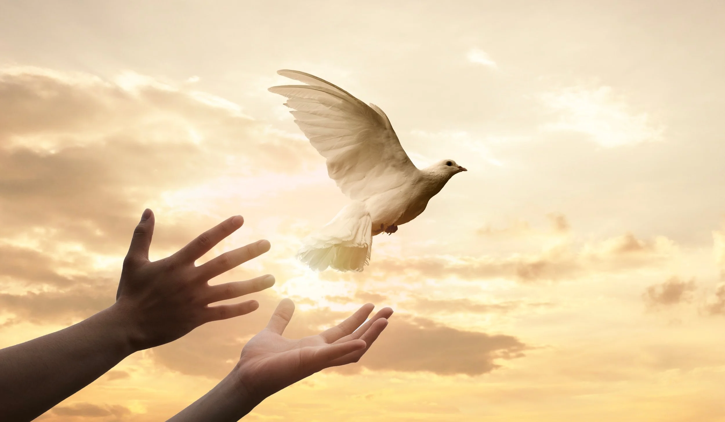 Physical and Spiritual Disabilities