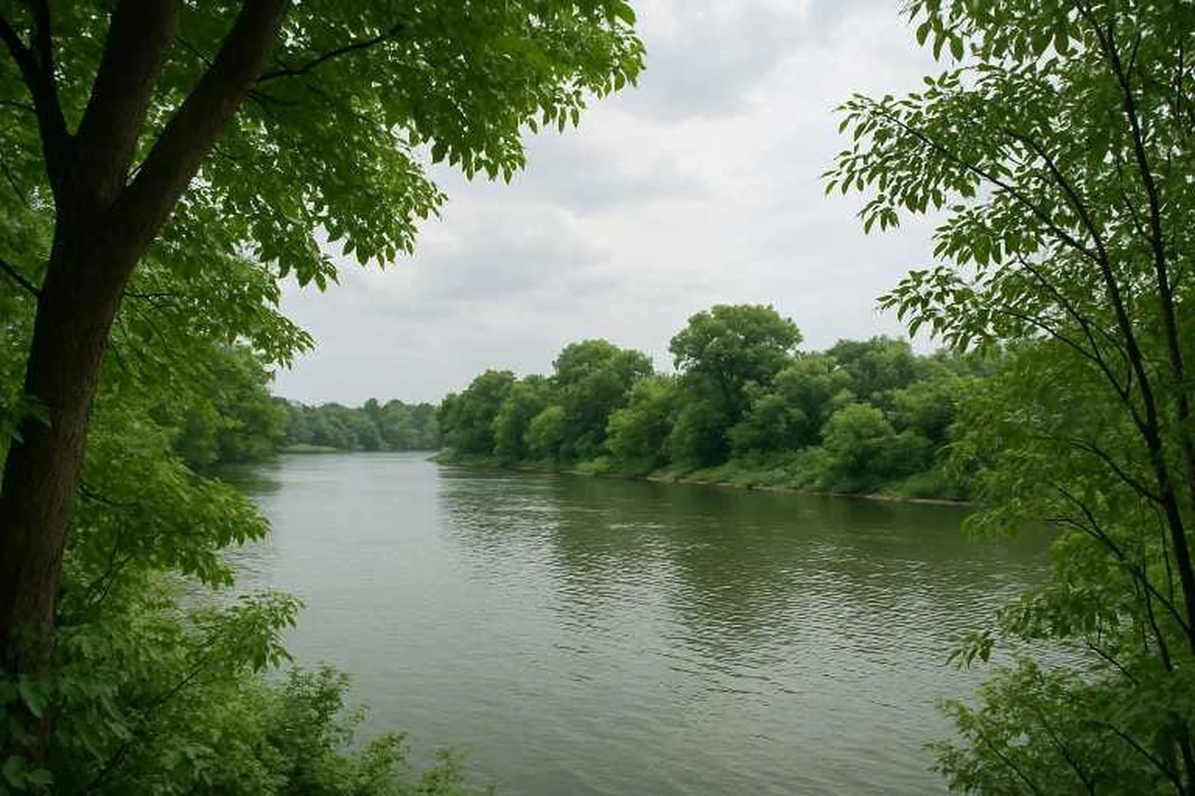 The River of Life and Loss