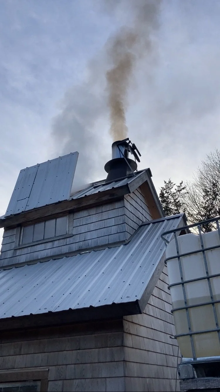 smoke and steam exiting sap house at Sunny Meadow Farm, Bridgewater, CT