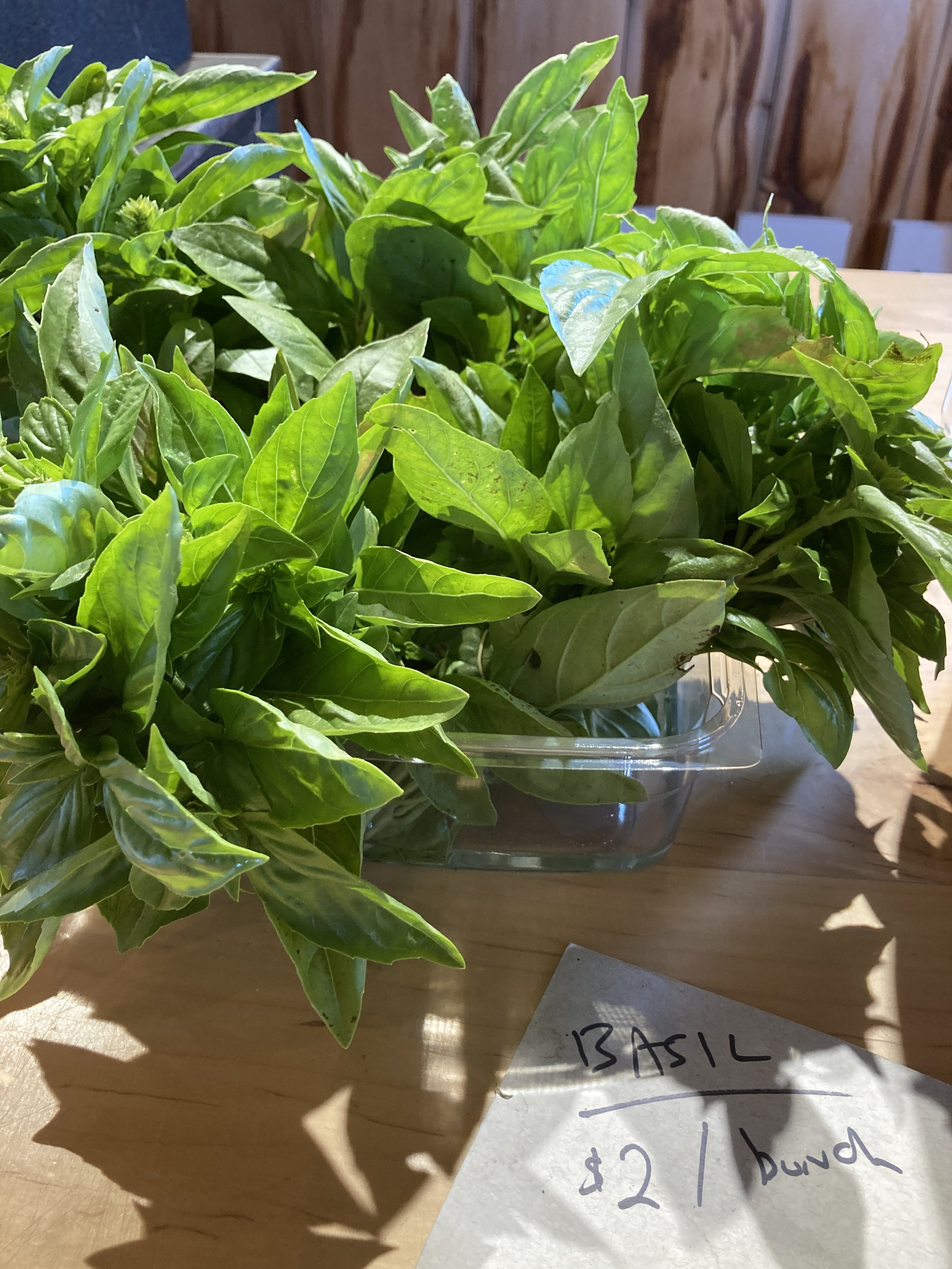 basil.JPG
