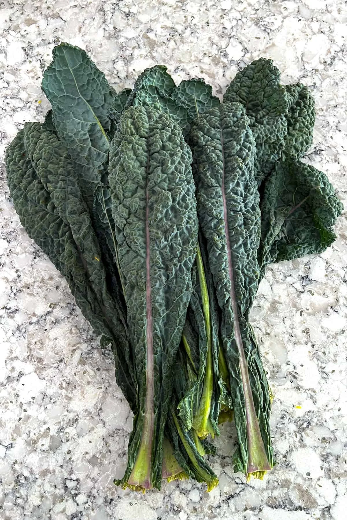 lacinato-kale-bunch.jpg