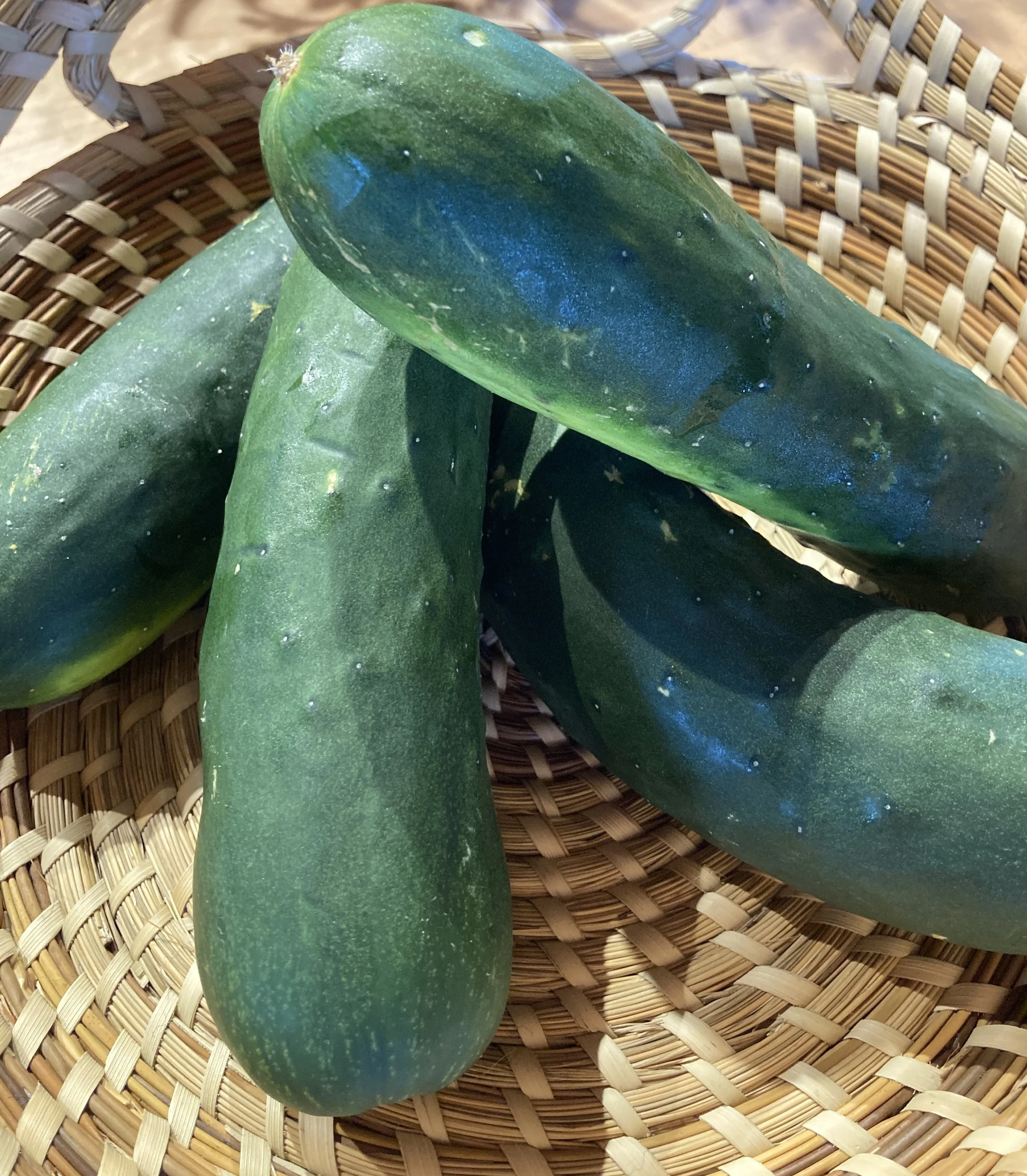 cukes.jpg