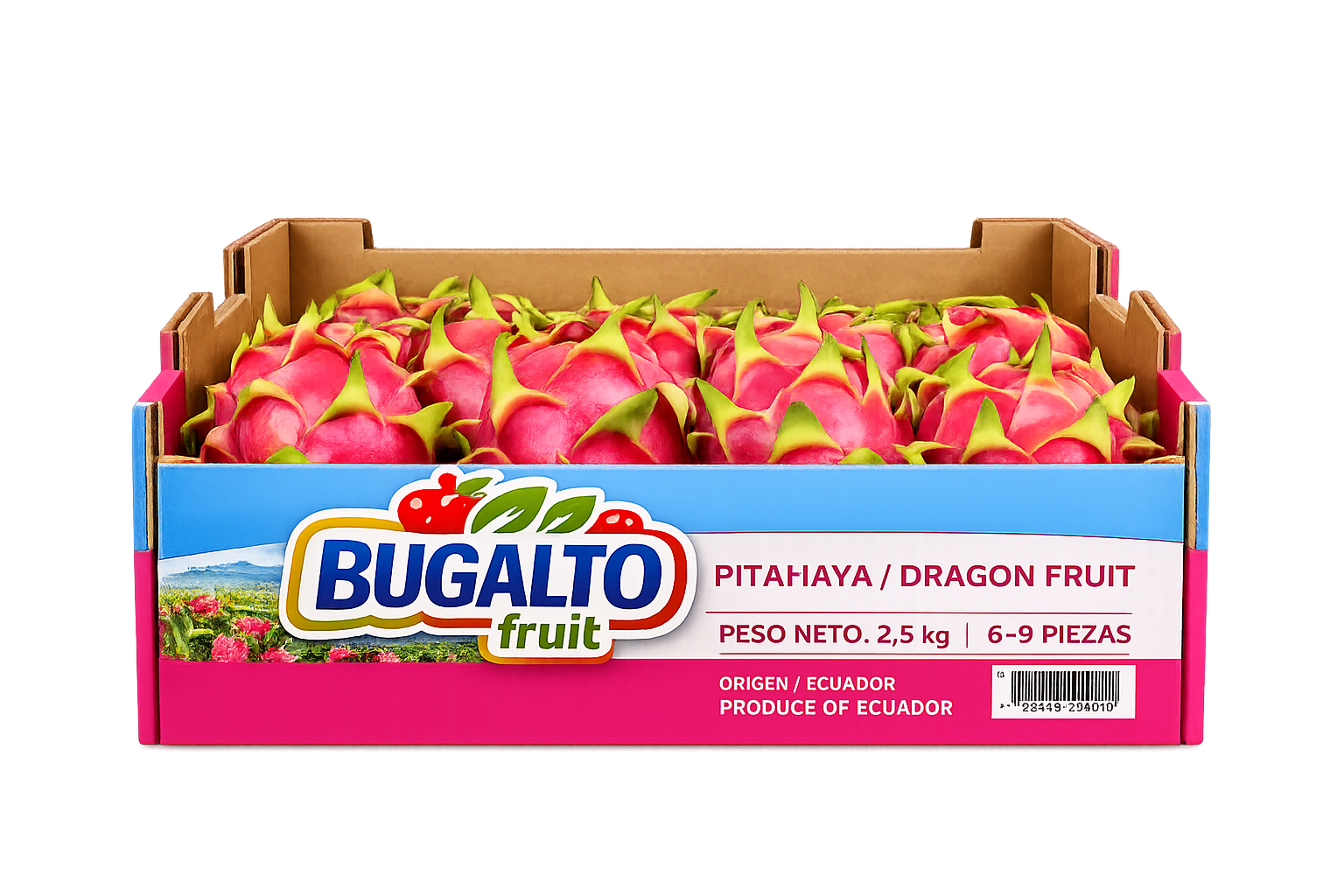 ChatGPT Image 5 ene 2026, 11_12_38.png