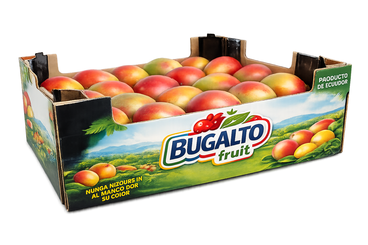 ChatGPT Image 5 ene 2026, 12_02_49.png