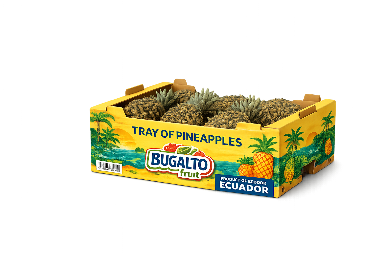 PINEAPPLE TRAY