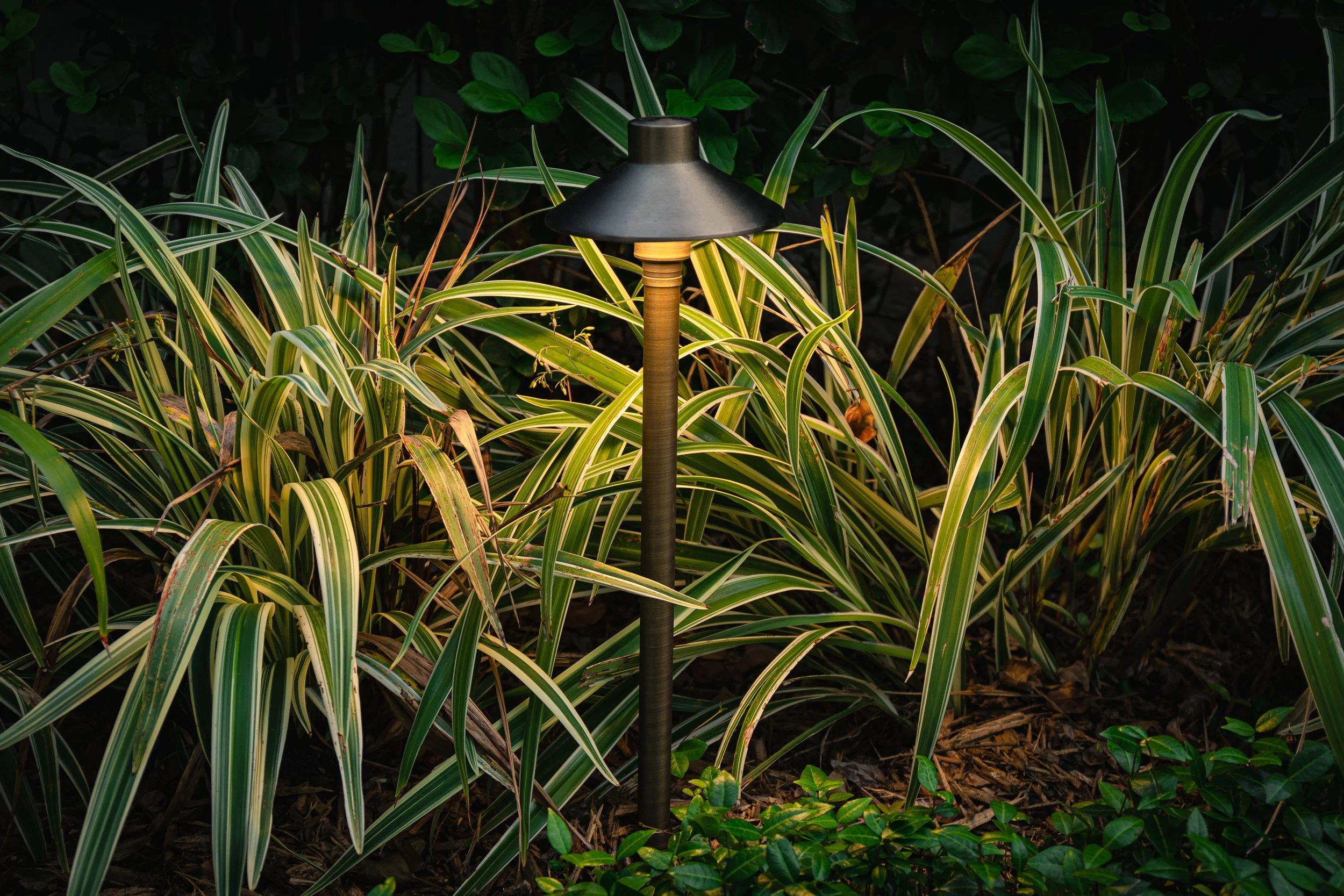 Path &amp; Area Lights