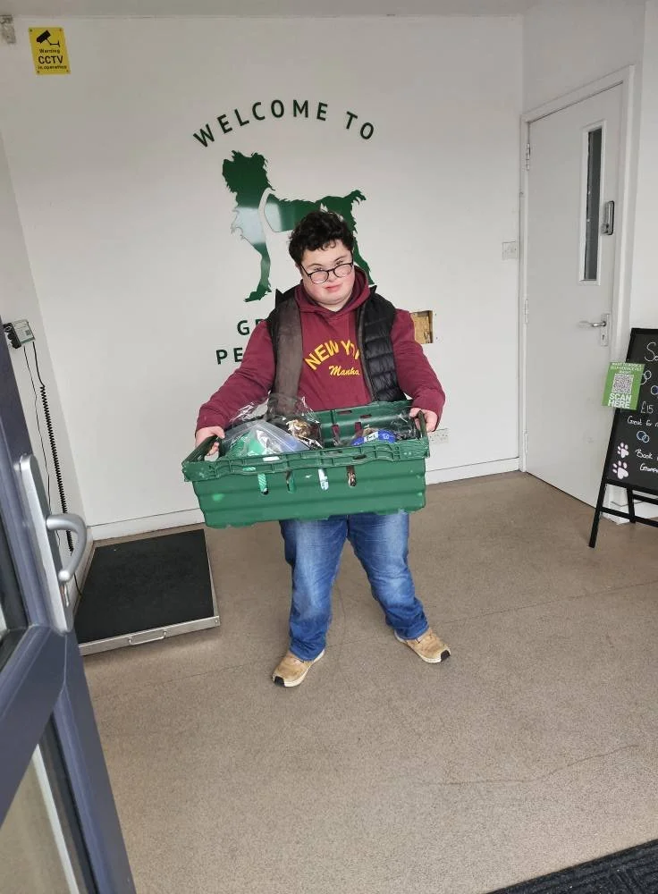 A young boy standing inside a pet store, carrying a green plastic basket filled with pet supplies. Behind him is a wall with a dog silhouette and the words "Welcome to" and "GREAT Paws Pet Store."