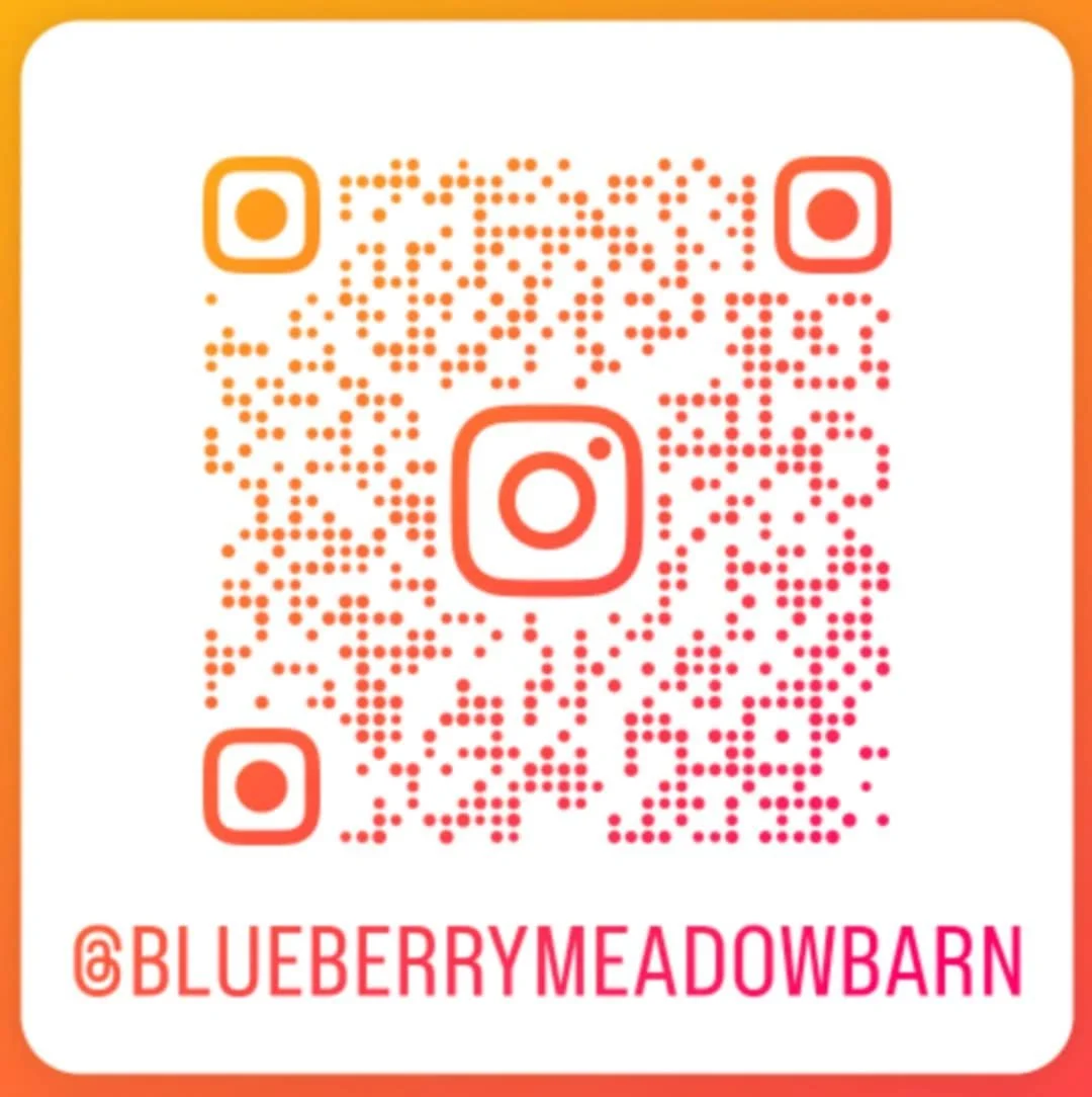 Instagram QR code linking to @blueberrymeadowbarn profile.