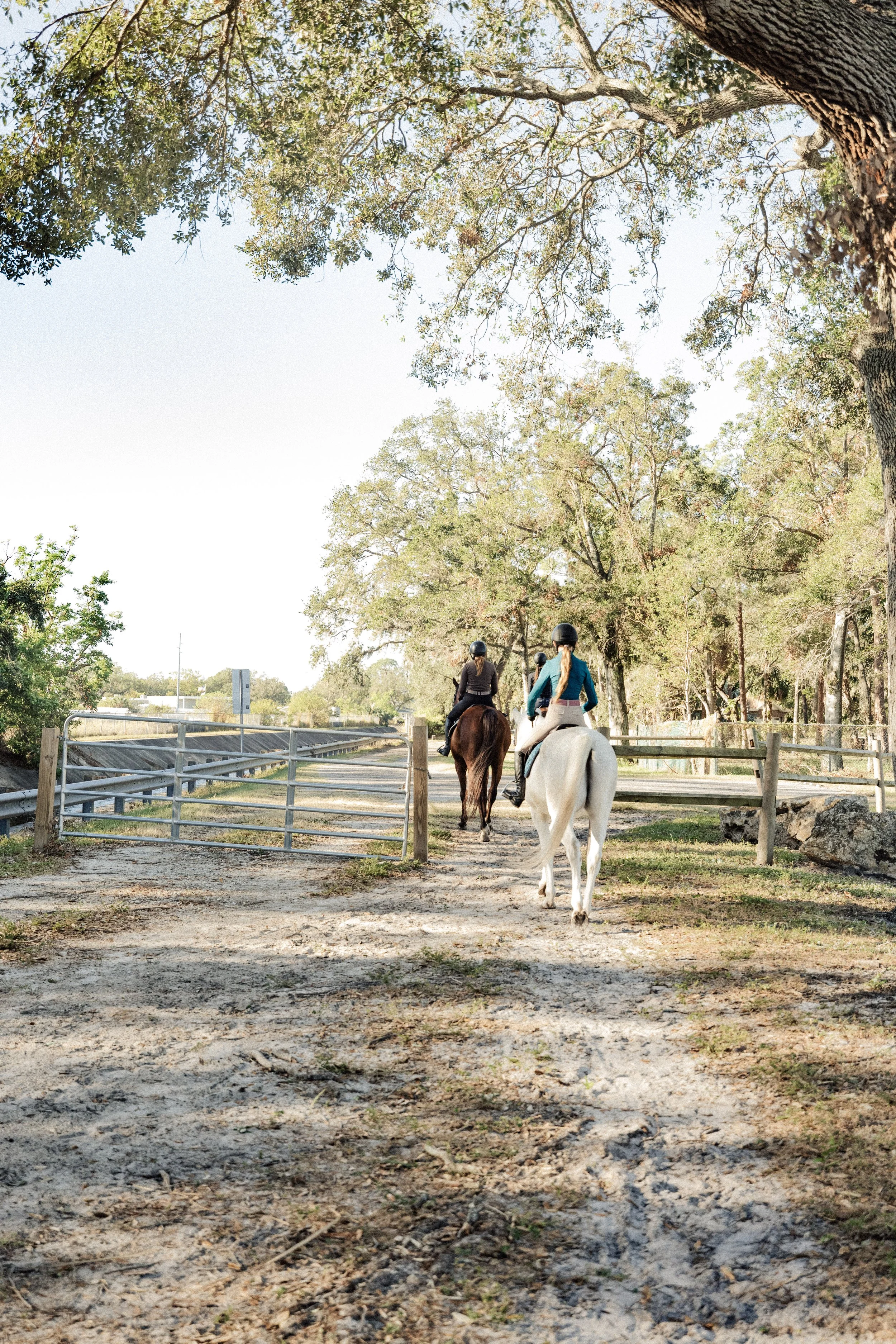 Copy of GD8A6638.jpg