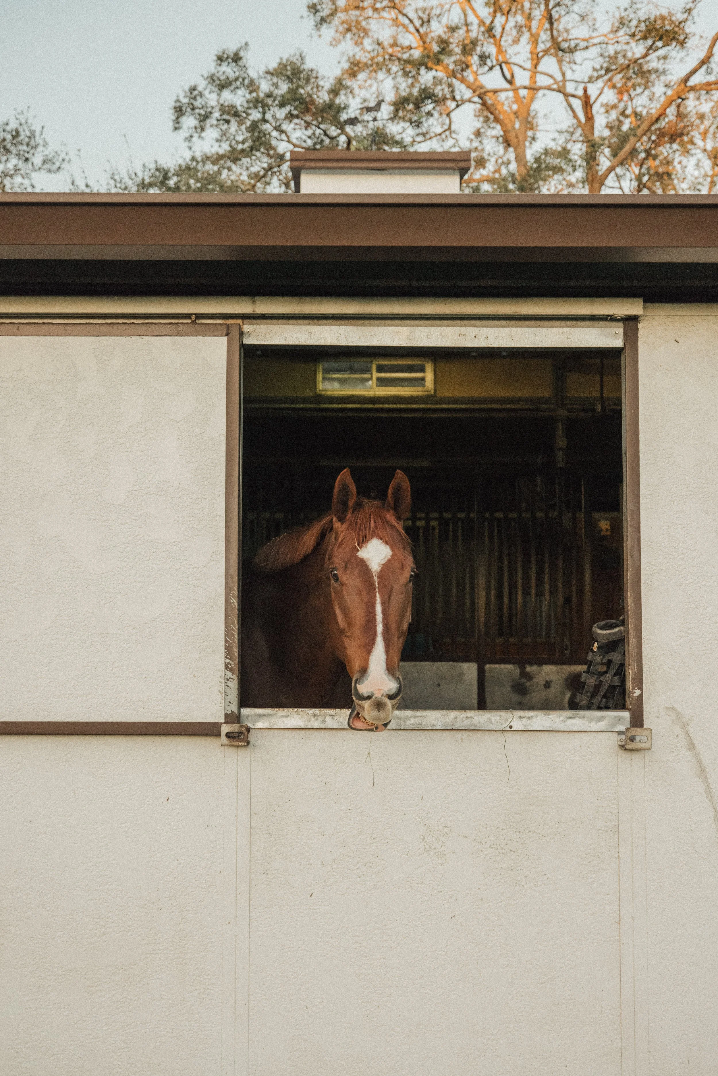 Copy of GD8A6197.jpg