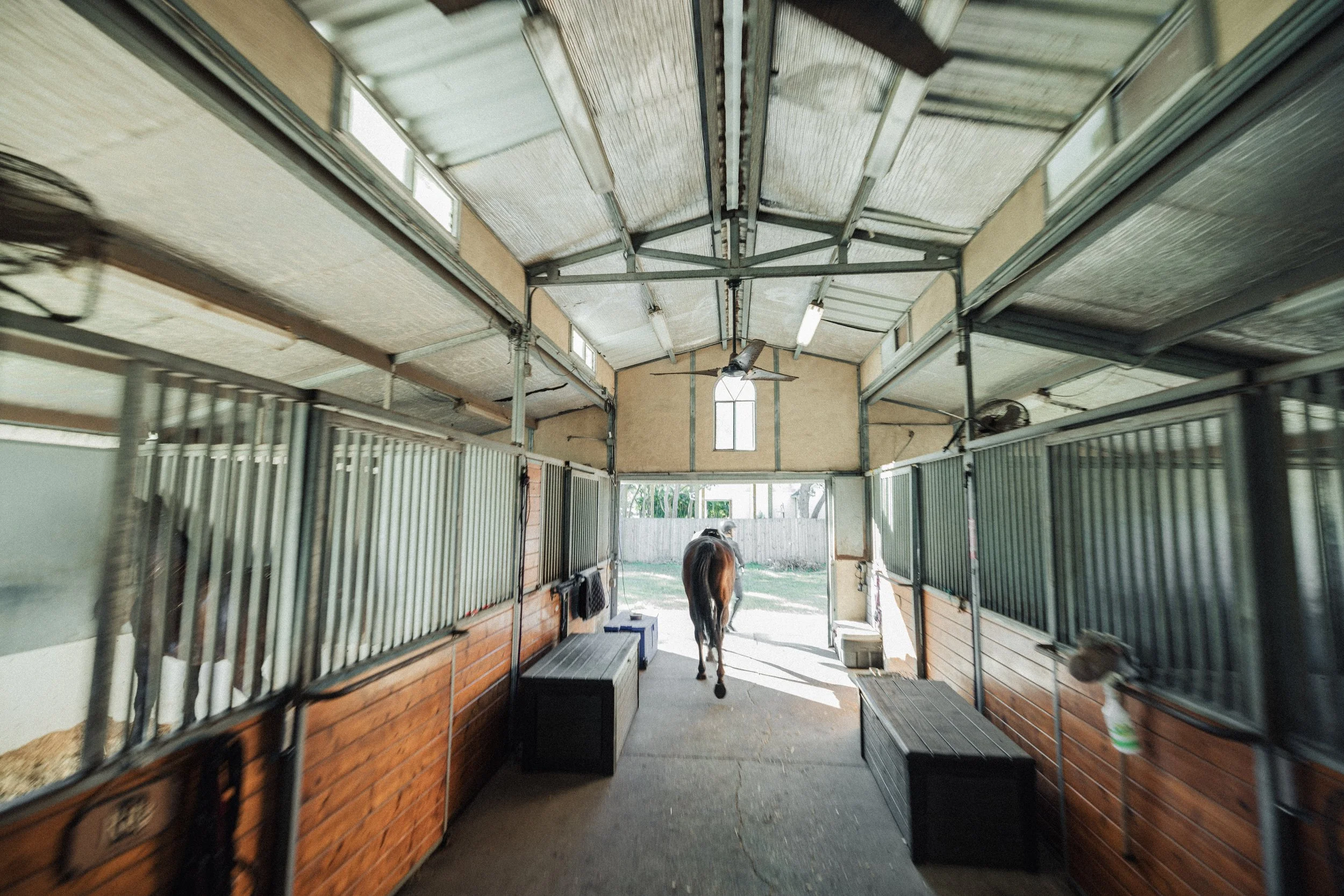 Copy of GD8A6773.jpg