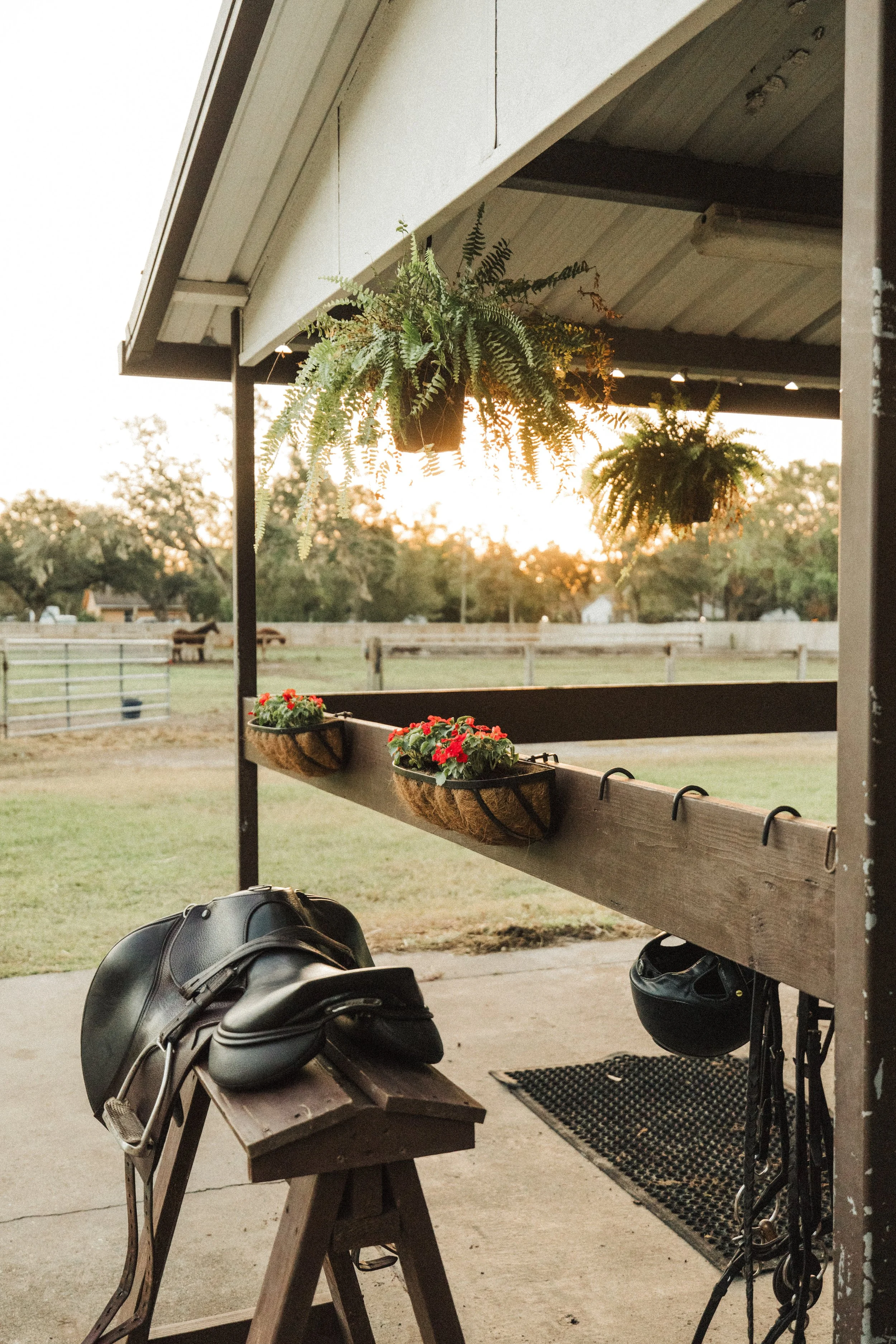 Copy of GD8A6243.jpg