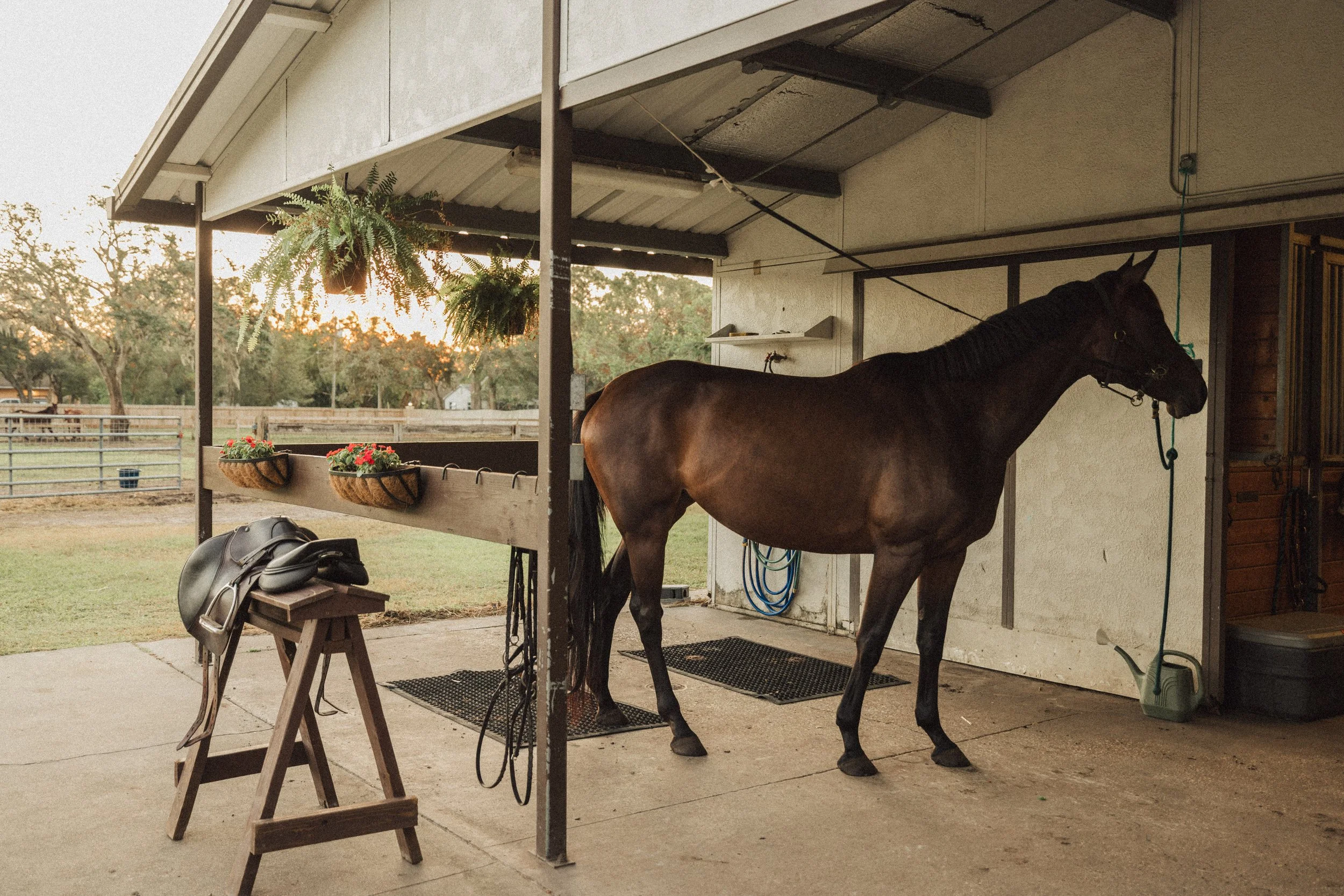 Copy of GD8A6100.jpg