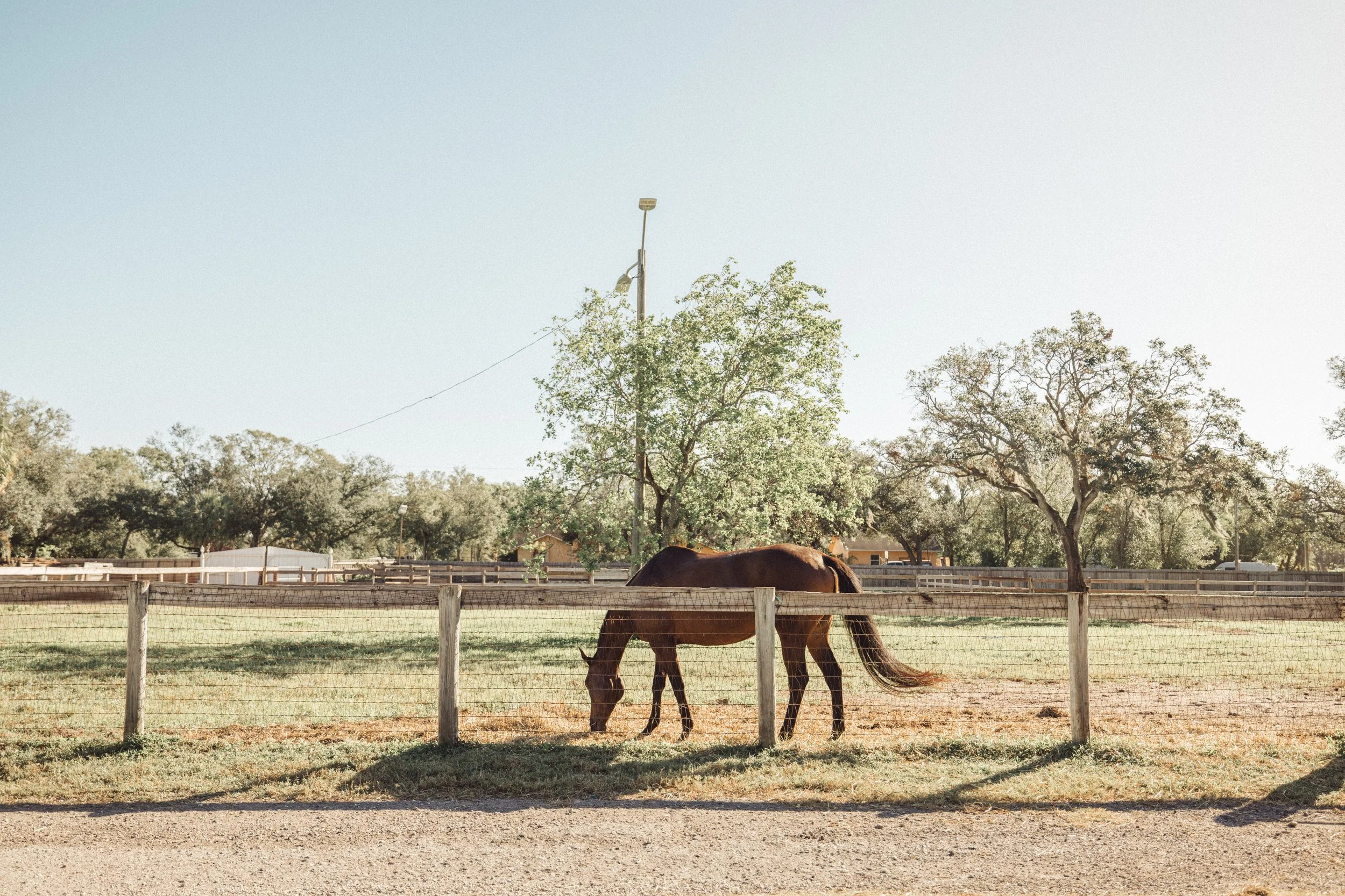 Copy of GD8A6812.jpg