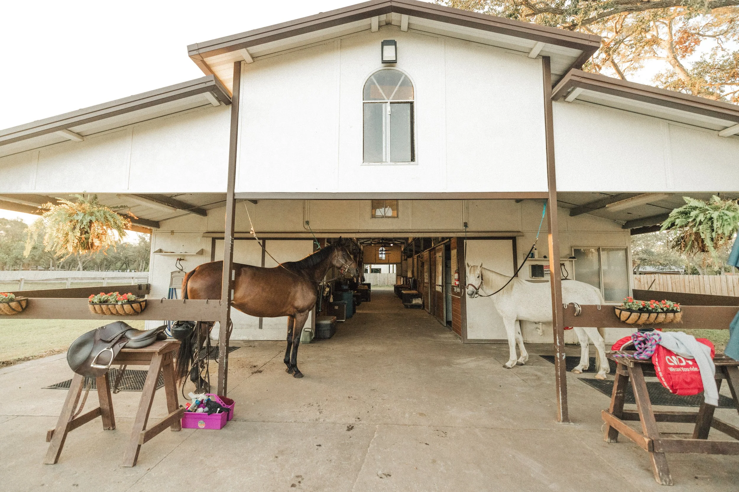 Copy of GD8A6272.jpg