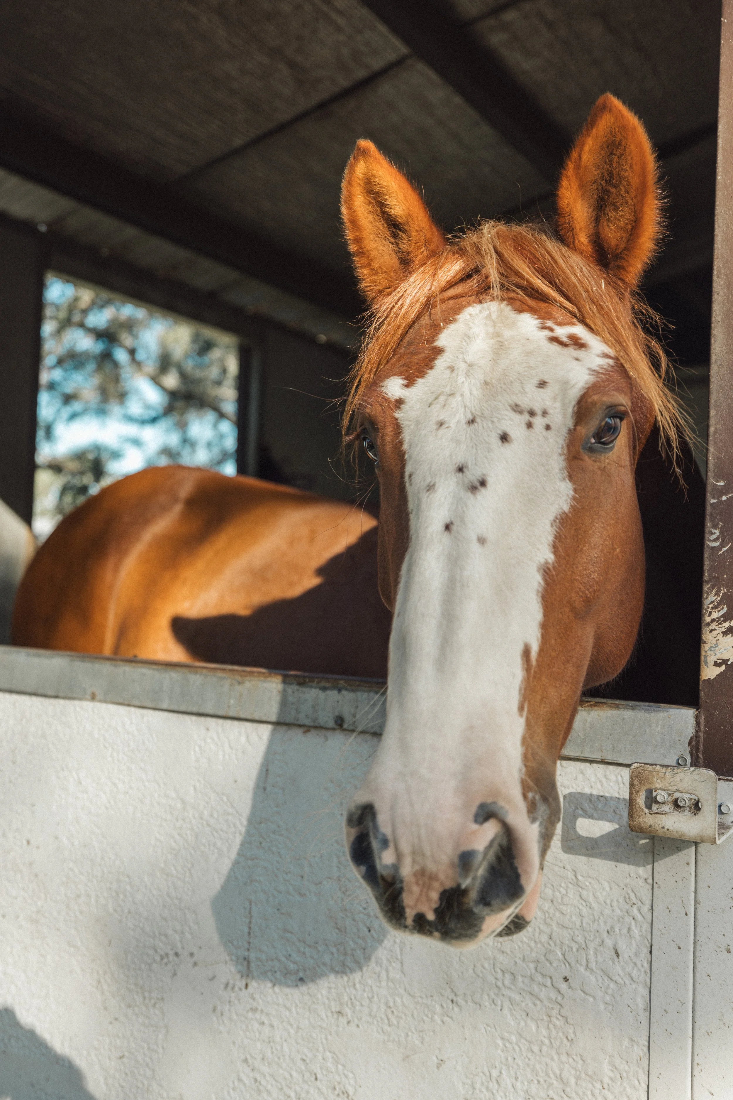 Copy of GD8A6780.jpg