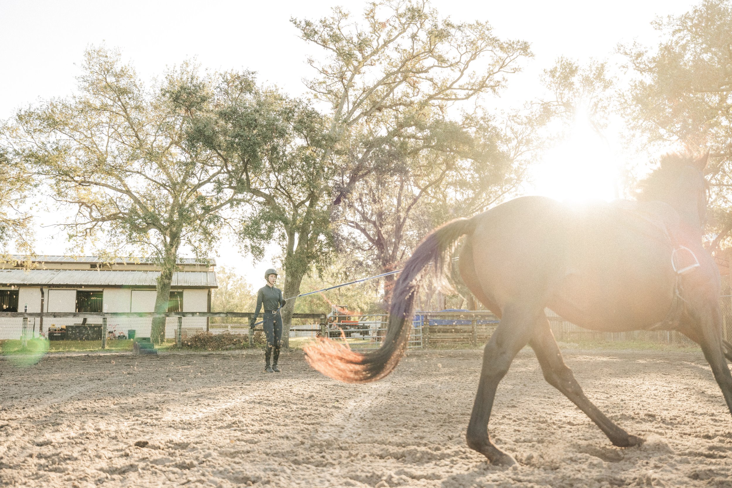 Copy of GD8A6541.jpg