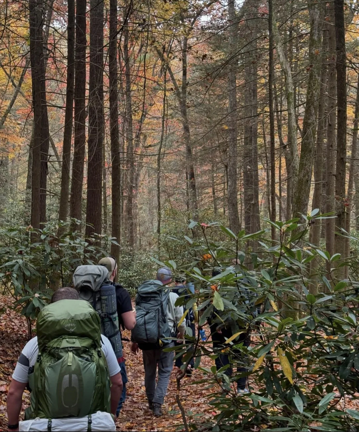 Why the wilderness still heals