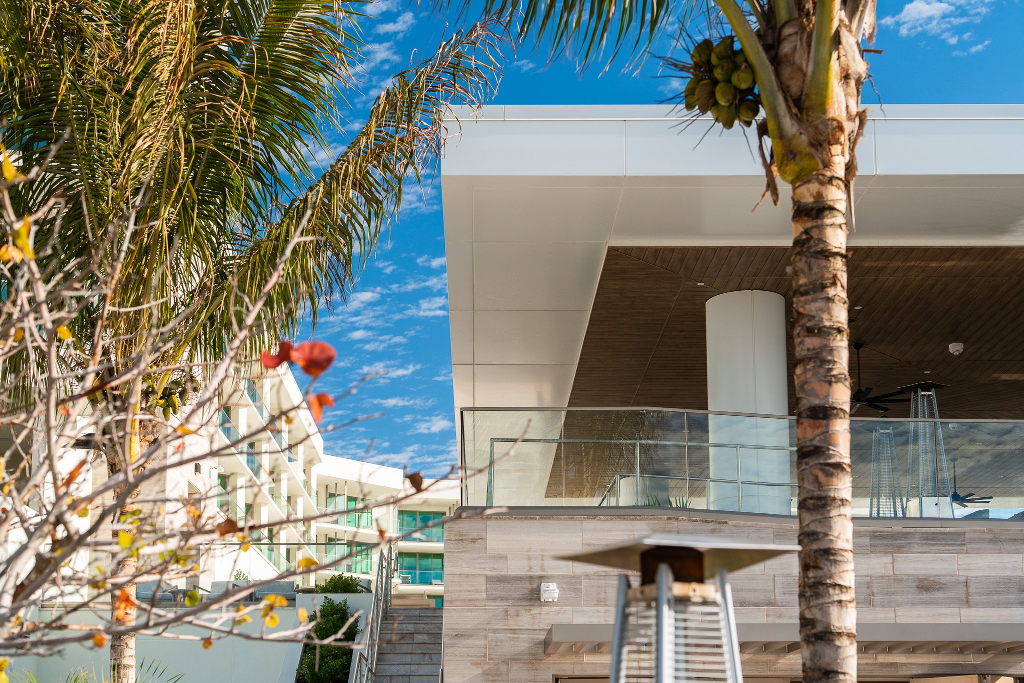 Modern building with palm trees and glass railing
