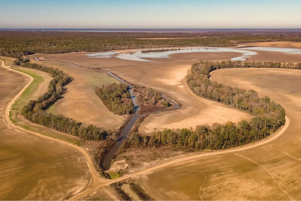 Roots Acquire the Land.jpg