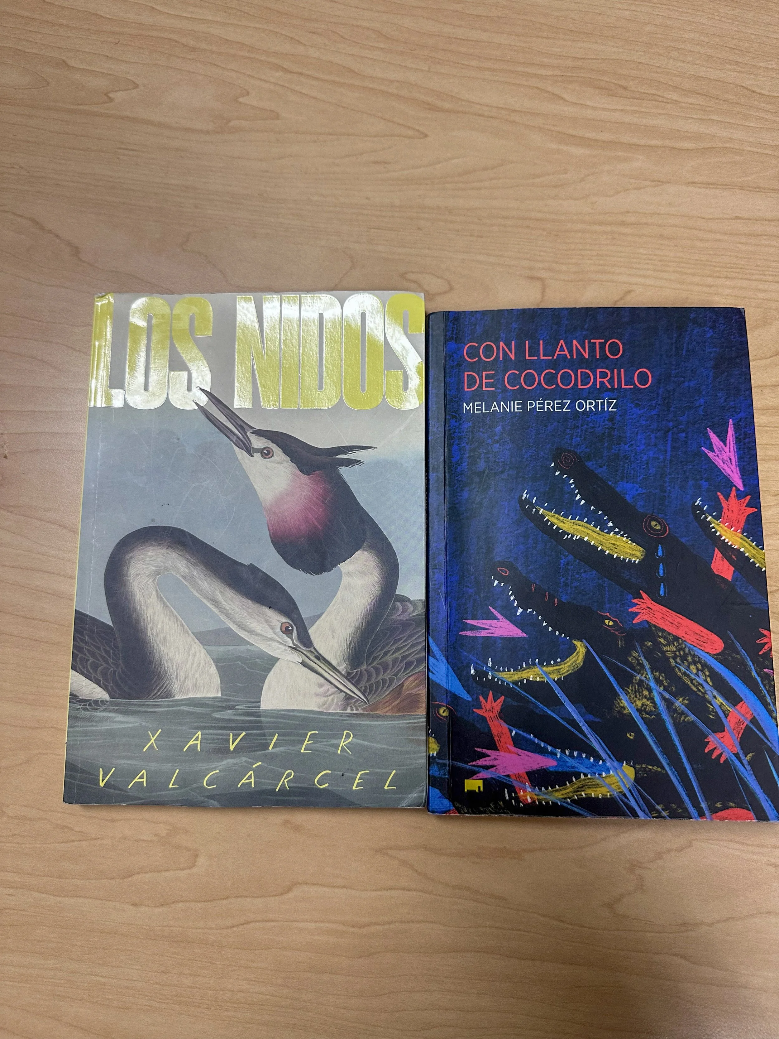Con llanto de cocodrilo (Elefanta, 2025) y Los nidos (Riel, 2025): breve reflexión