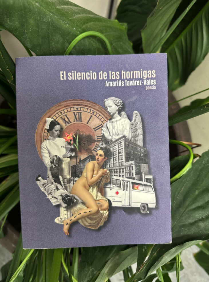 EL SILENCIO DE LAS HORMIGAS DE AMARILIS TAVÁREZ-VALES