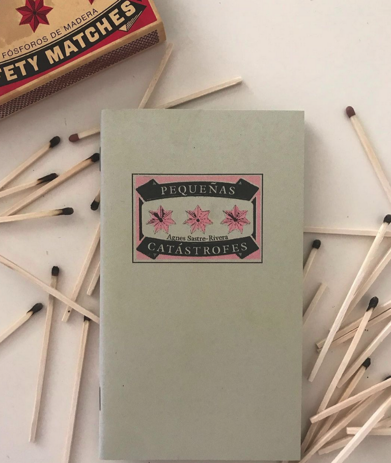 LAS PEQUEÑAS CATÁSTOFES DE AGNES SASTRE-RIVERA