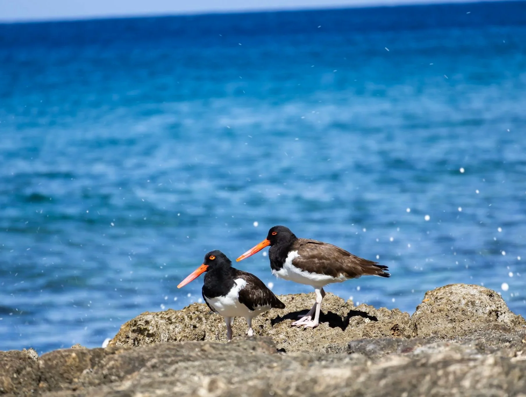 7-IMG_6559.jpg