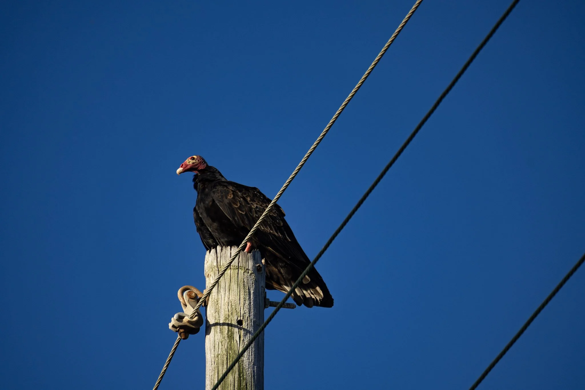 73-IMG_8405.jpg