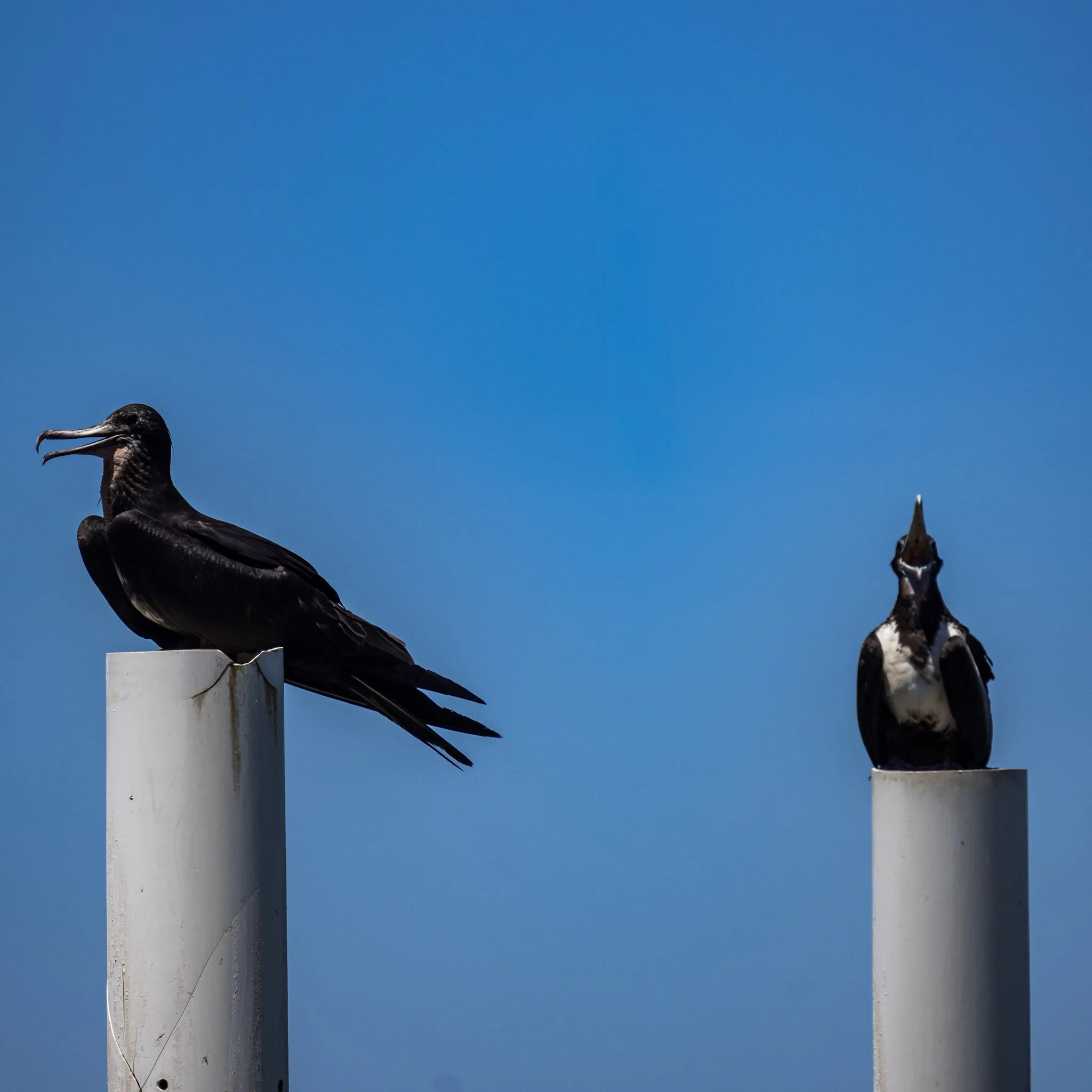 9-IMG_0738.jpg